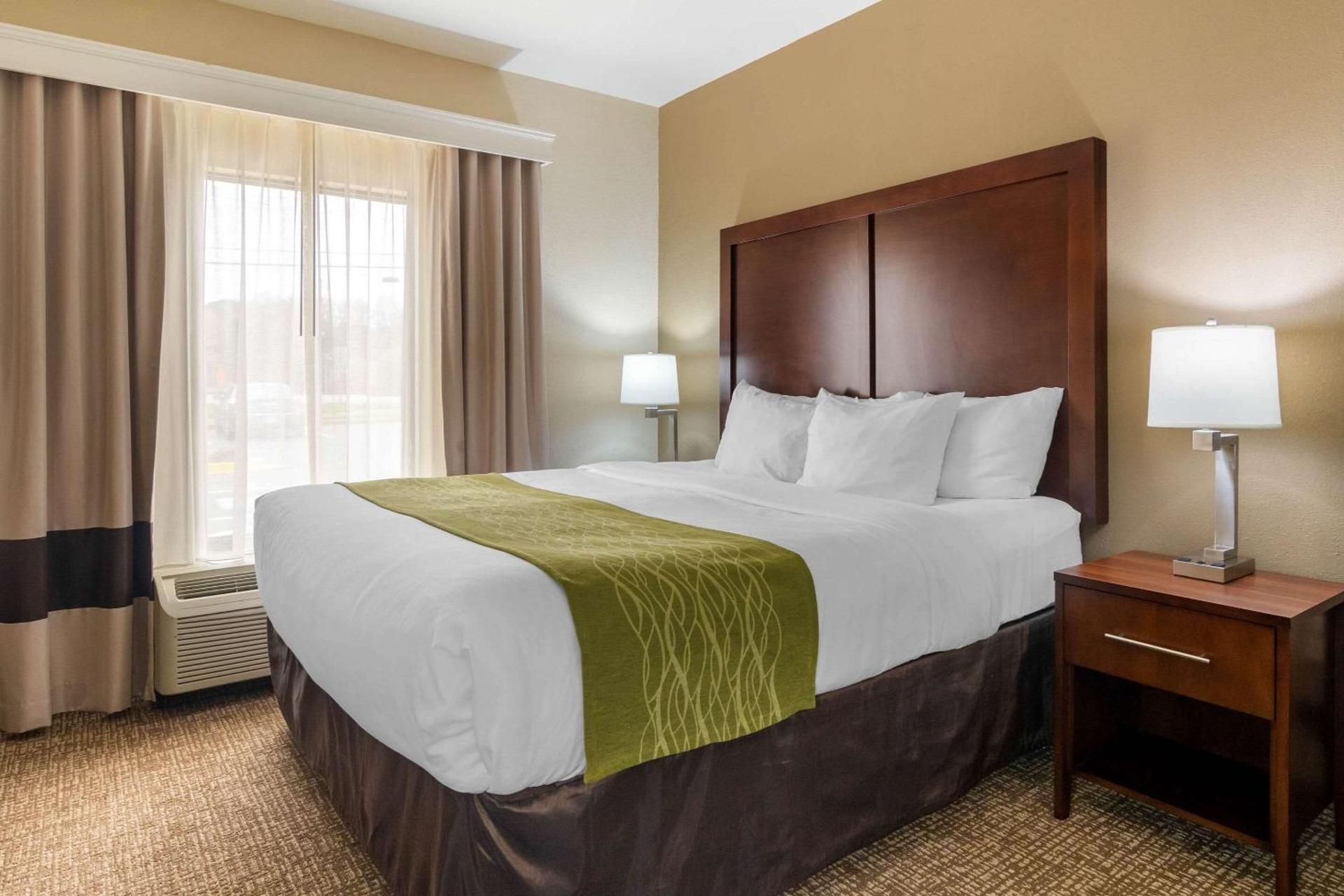 One Room Suite with Sofa bed - Non Smoking