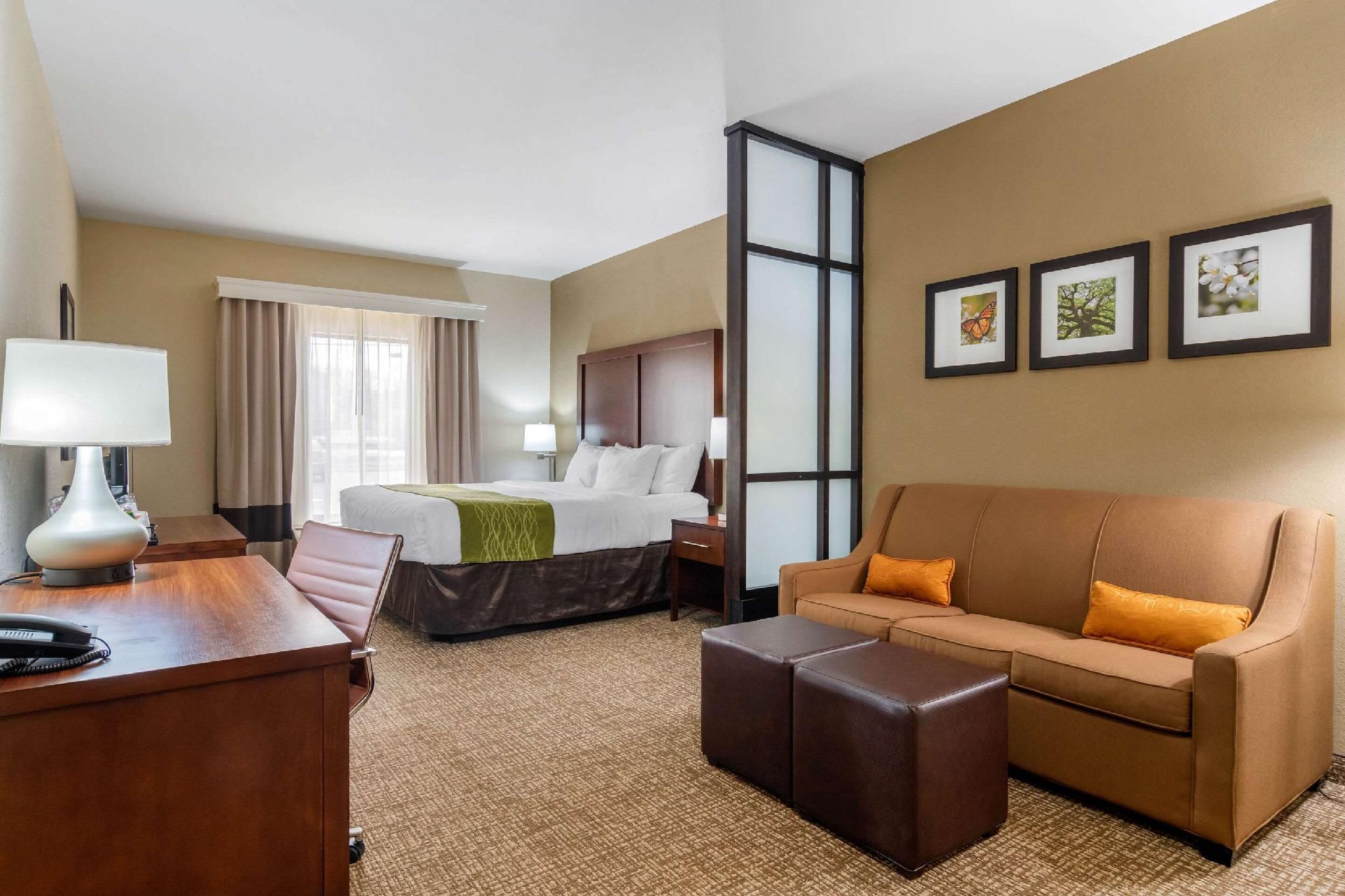 1 King Bed, Suite, Nonsmoking
