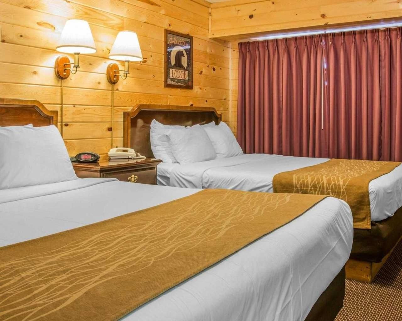 Superior Queen Room