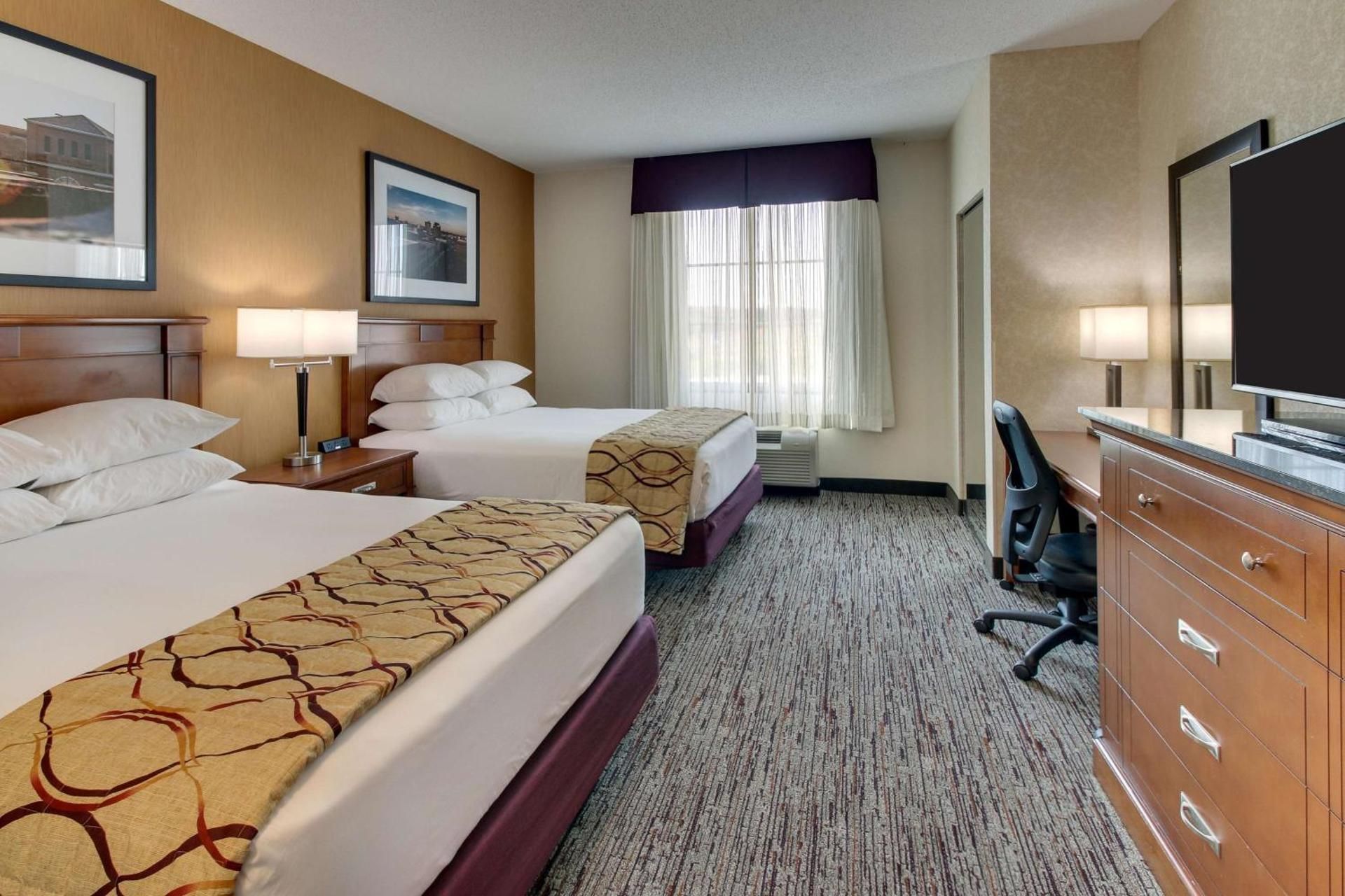 Queen Suite with Sofa Bed - Accessible, Roll-in Shower