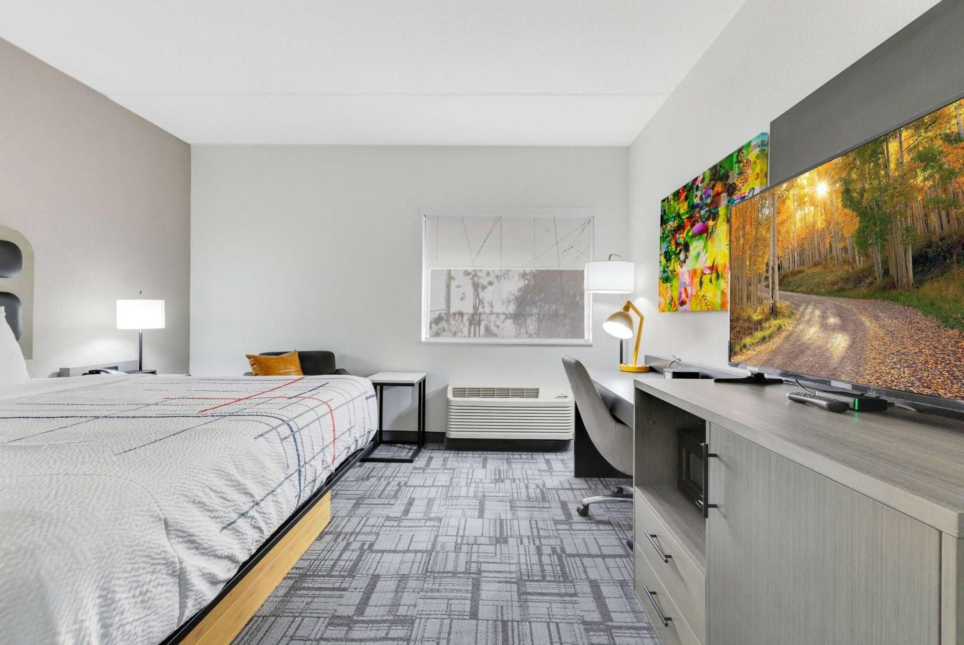 1 King Bed, Non-Smoking