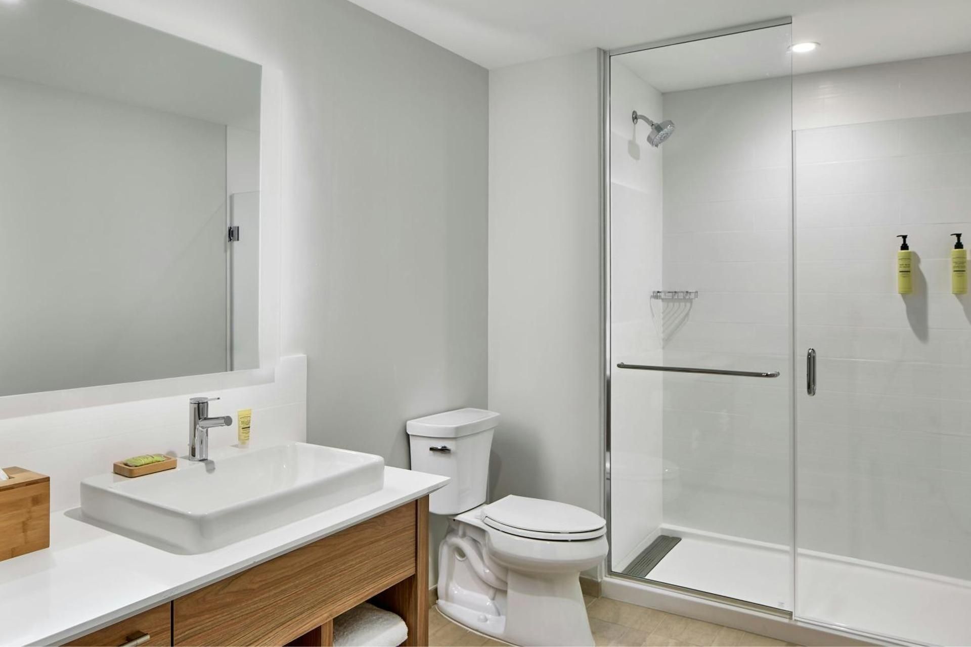 One-Bedroom King Suite with Sofa Bed and Fold Out Chair