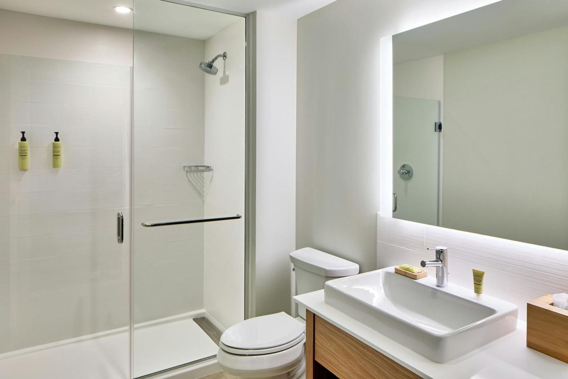 Studio King Room with Sofa Bed - Hearing/Mobility Accessible with Roll-In Shower