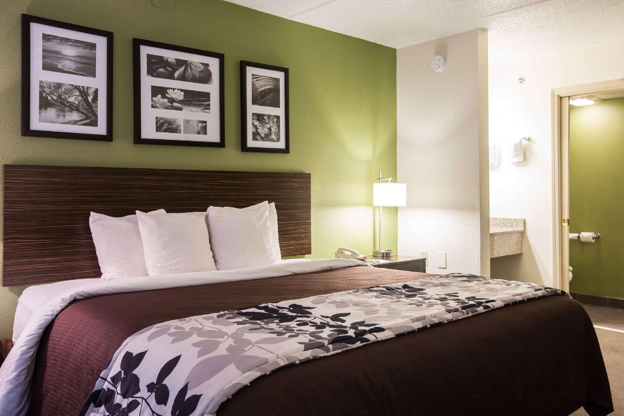 1 King Bed, Nonsmoking