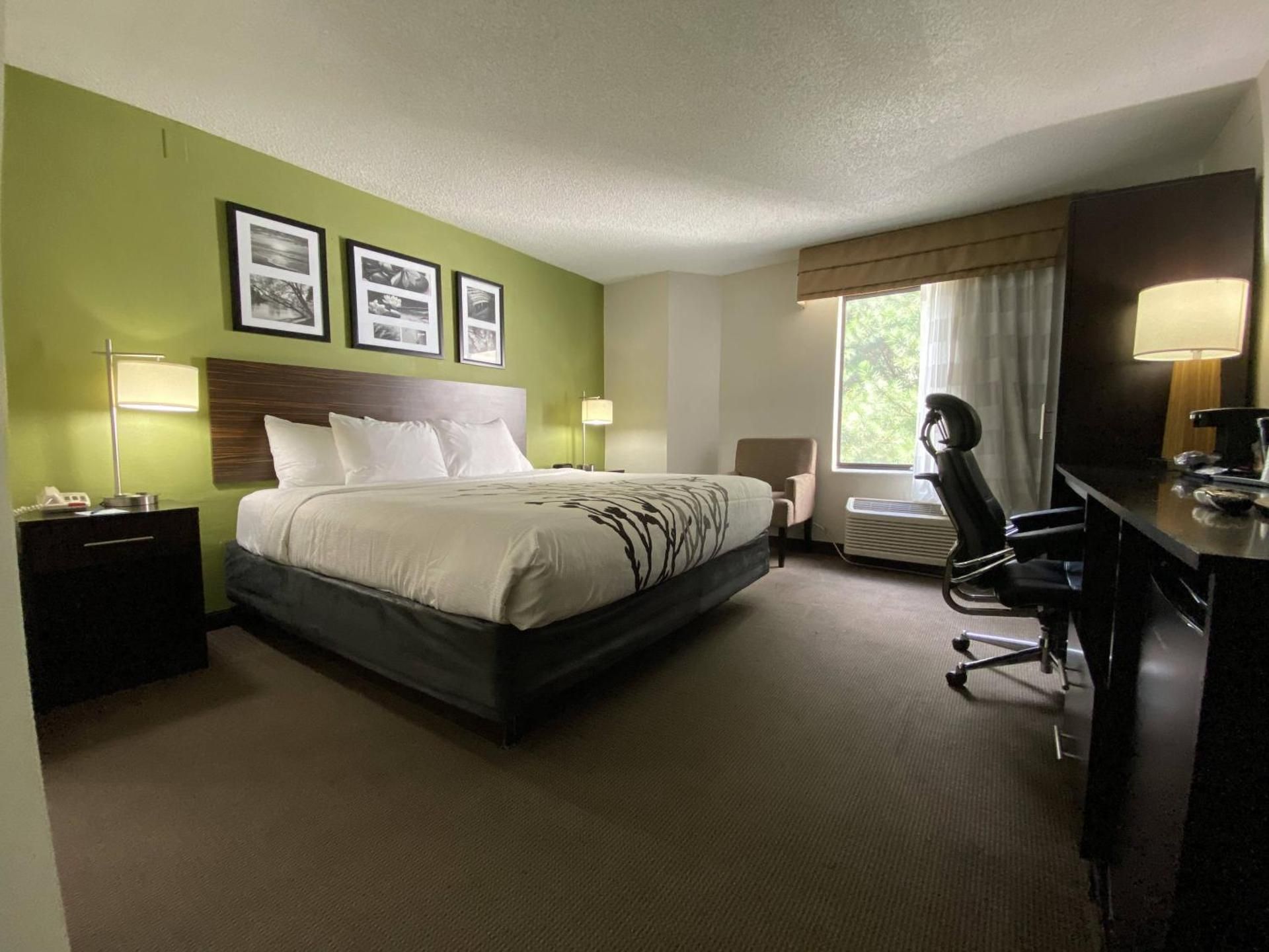 King Room - Non-Smoking