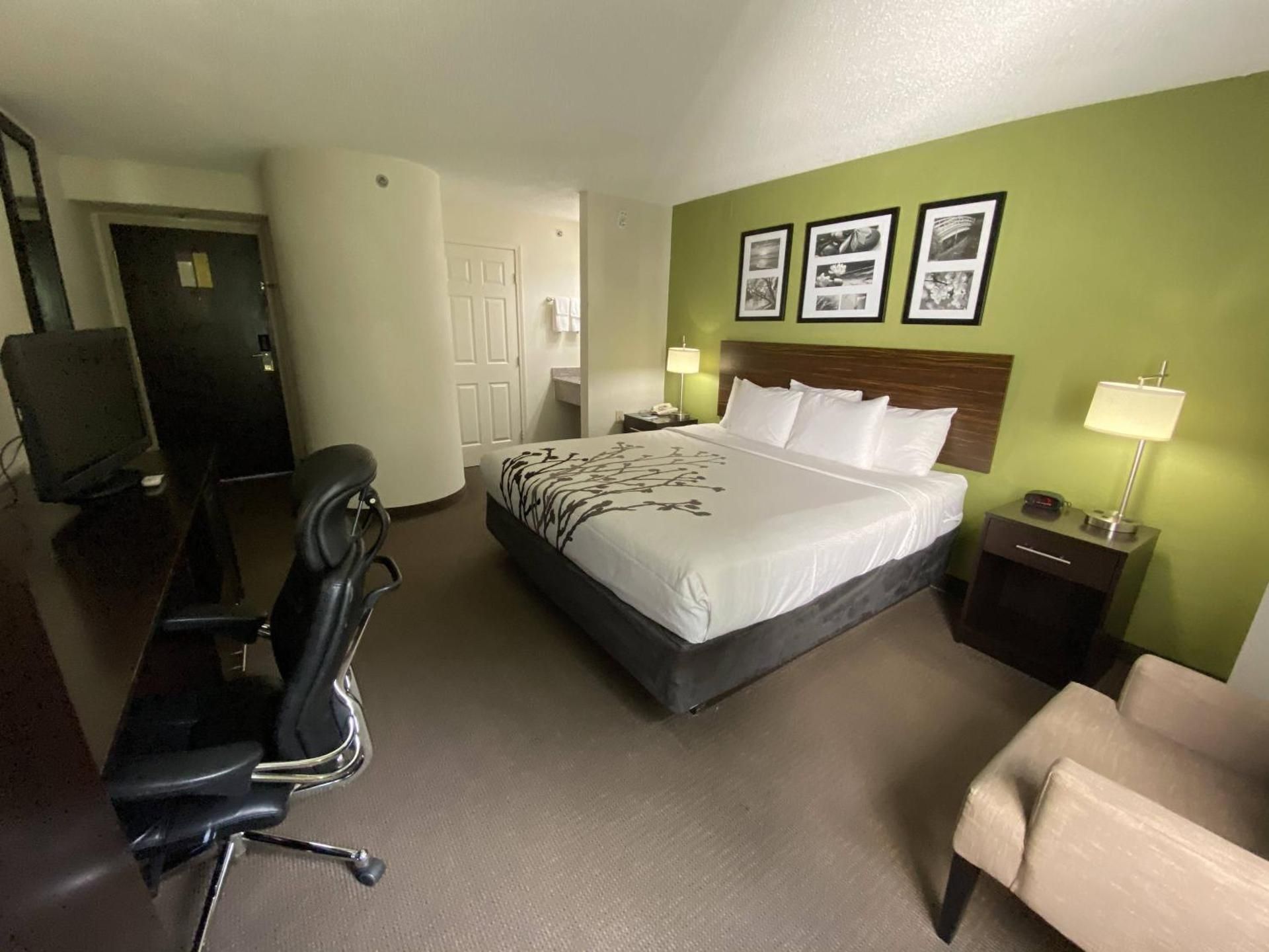 King Room - Non-Smoking