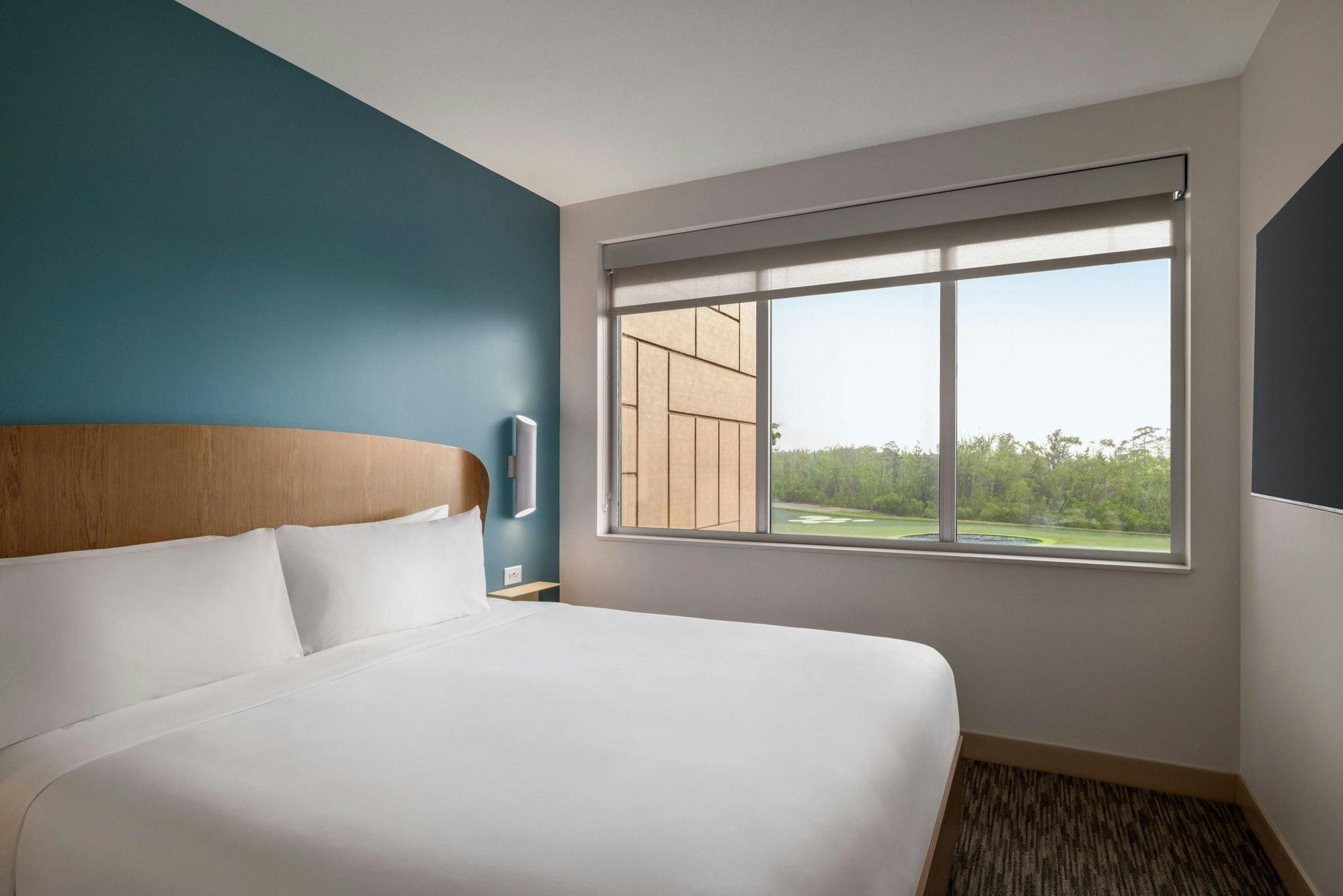 1 Bedroom Suite, 1 King, Sofa bed