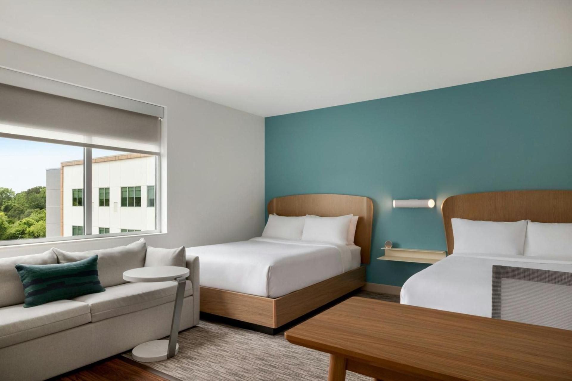 Queen Studio with Sofa Bed and Roll-in Shower - Mobility and Hearing Accessible