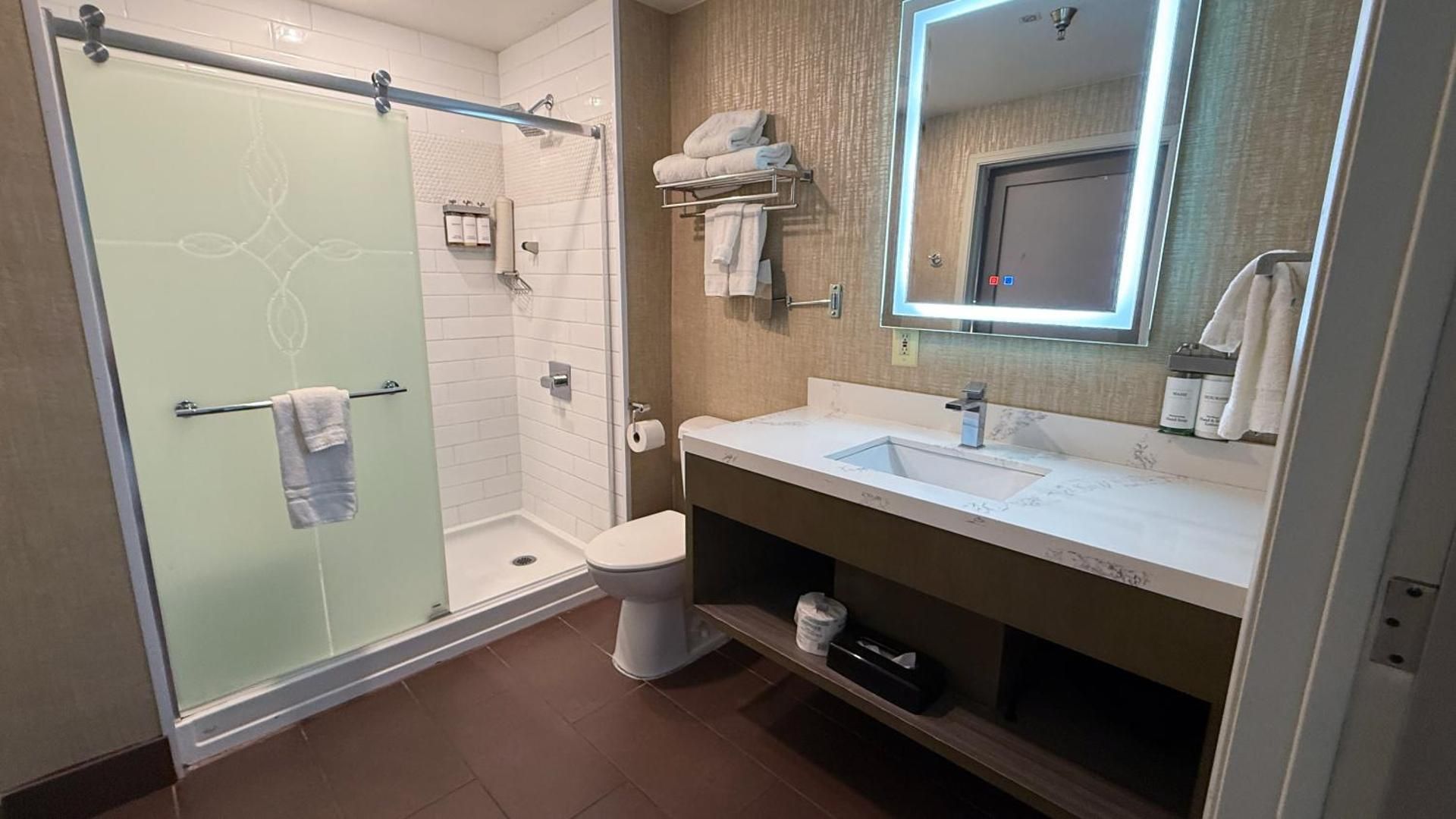 Deluxe King Suite