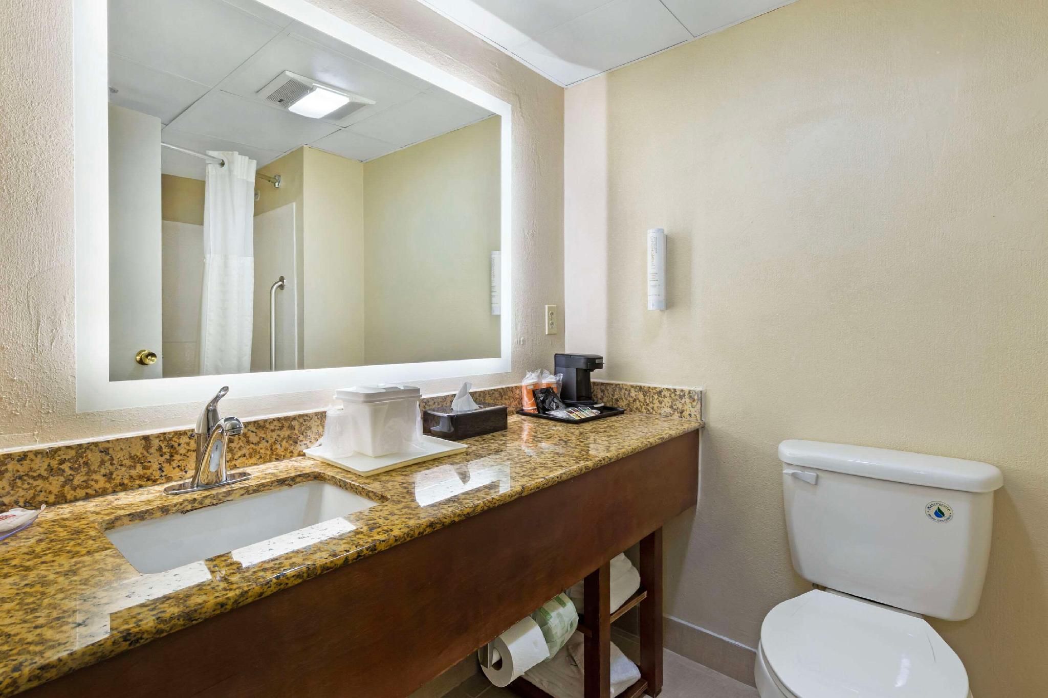 Clarion Pointe Research Triangle Park Durham 1 King Bed, Nonsmoking 3