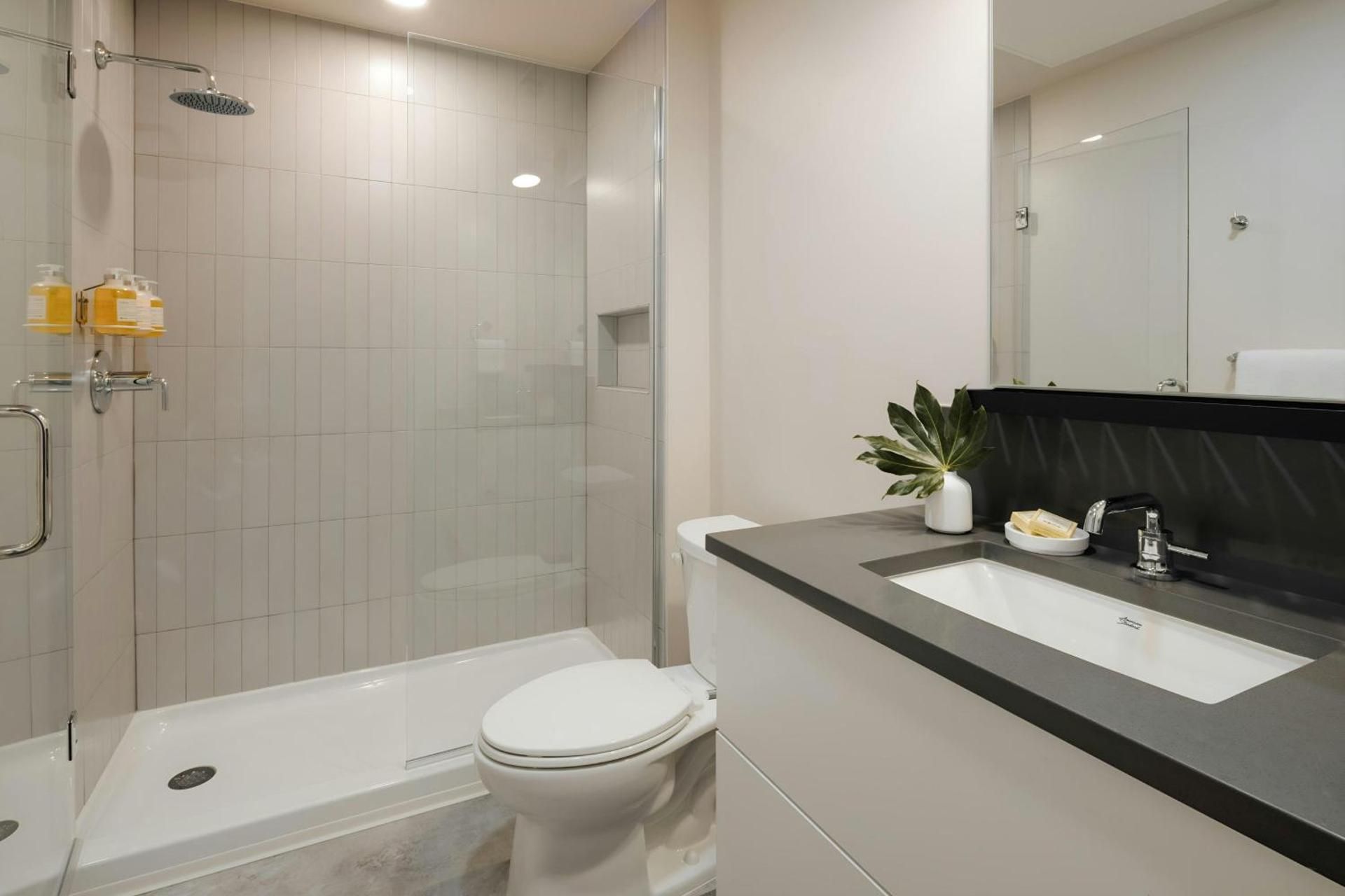 Lofted Double Studio Apartment with Mountain View