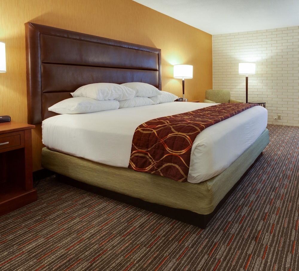 Room, 1 King Bed with Sofa bed (Sofa Sleeper)
