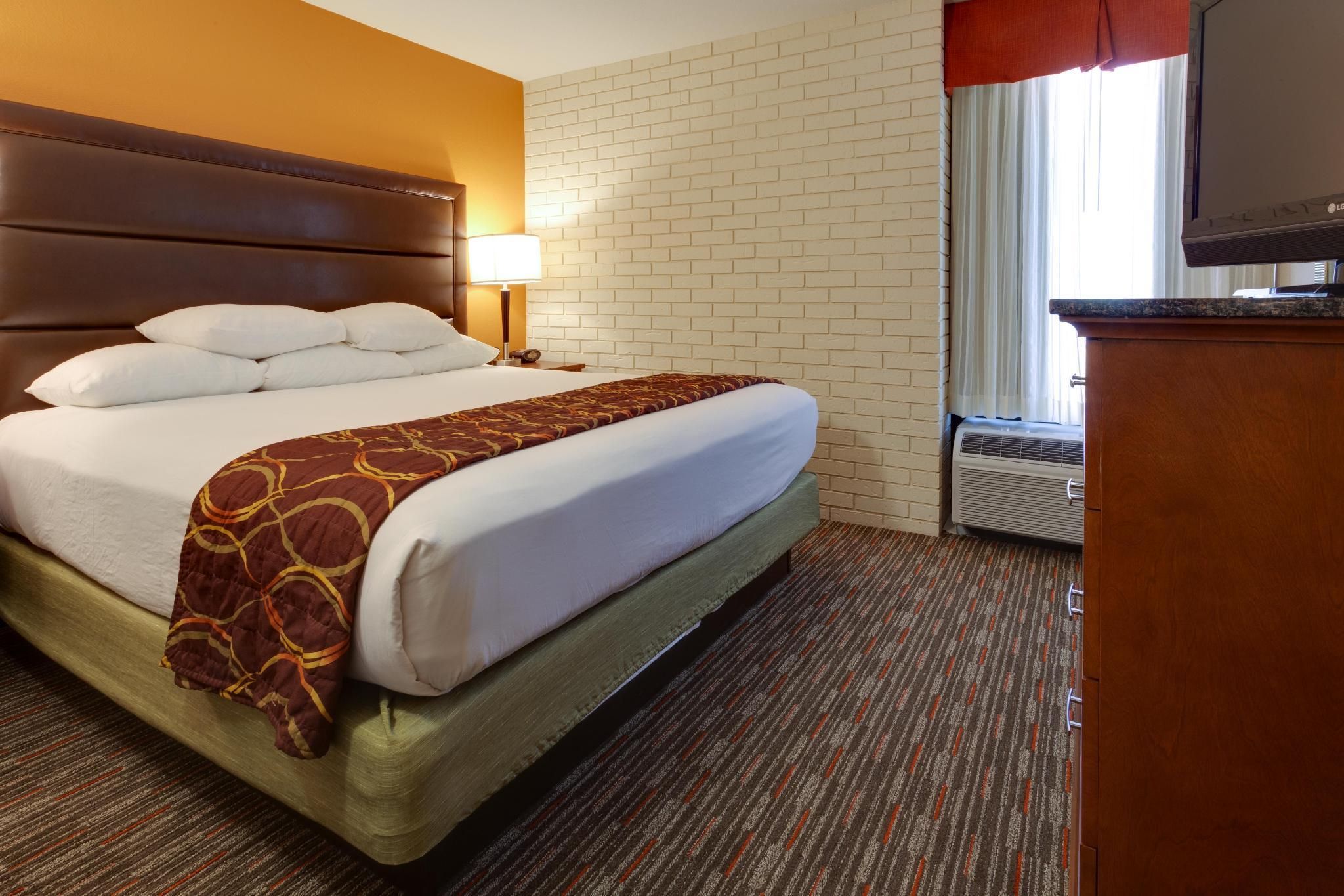 1 King Bed