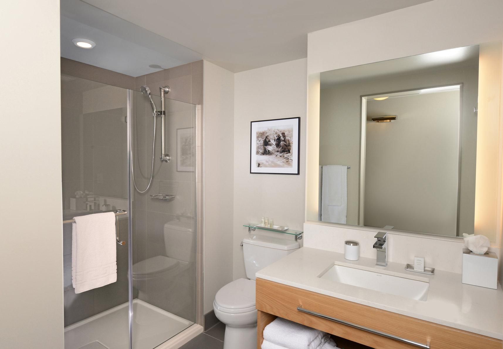 1 King Bed Standard City View