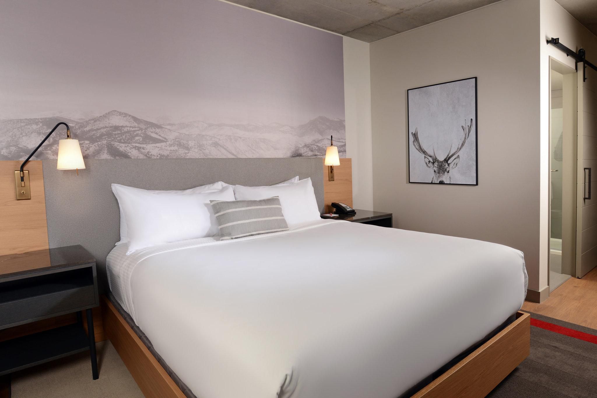 1 King Standard Communication Accessible Roll Shower