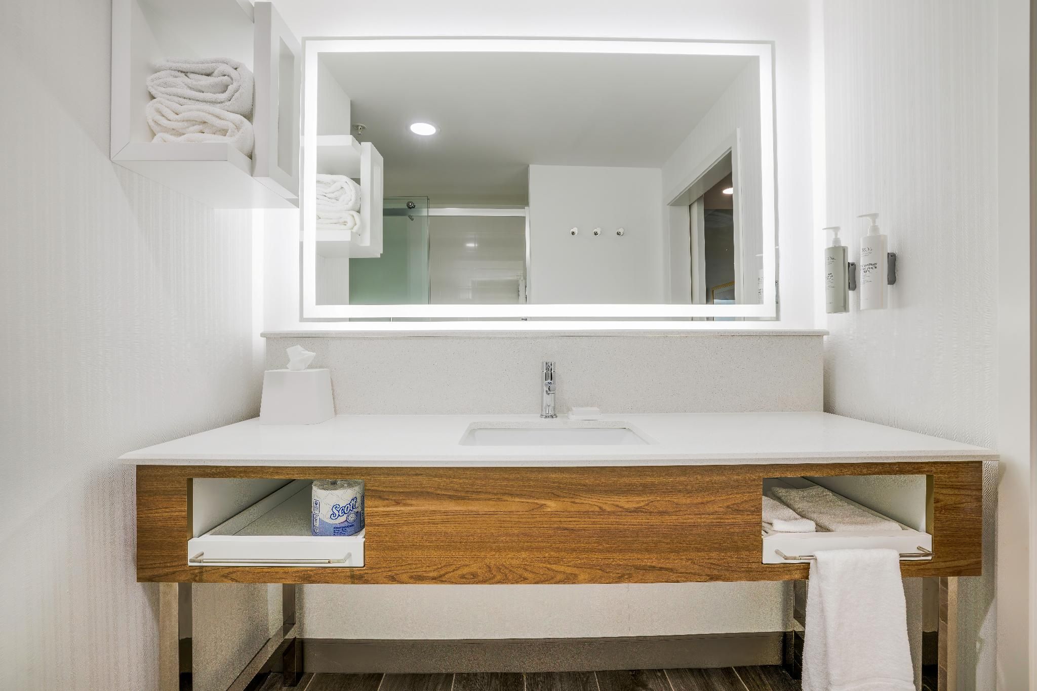 Hampton Inn by Hilton Aurora Medical Center Denver 1 King Mob/Hearing Access W/Tub 3