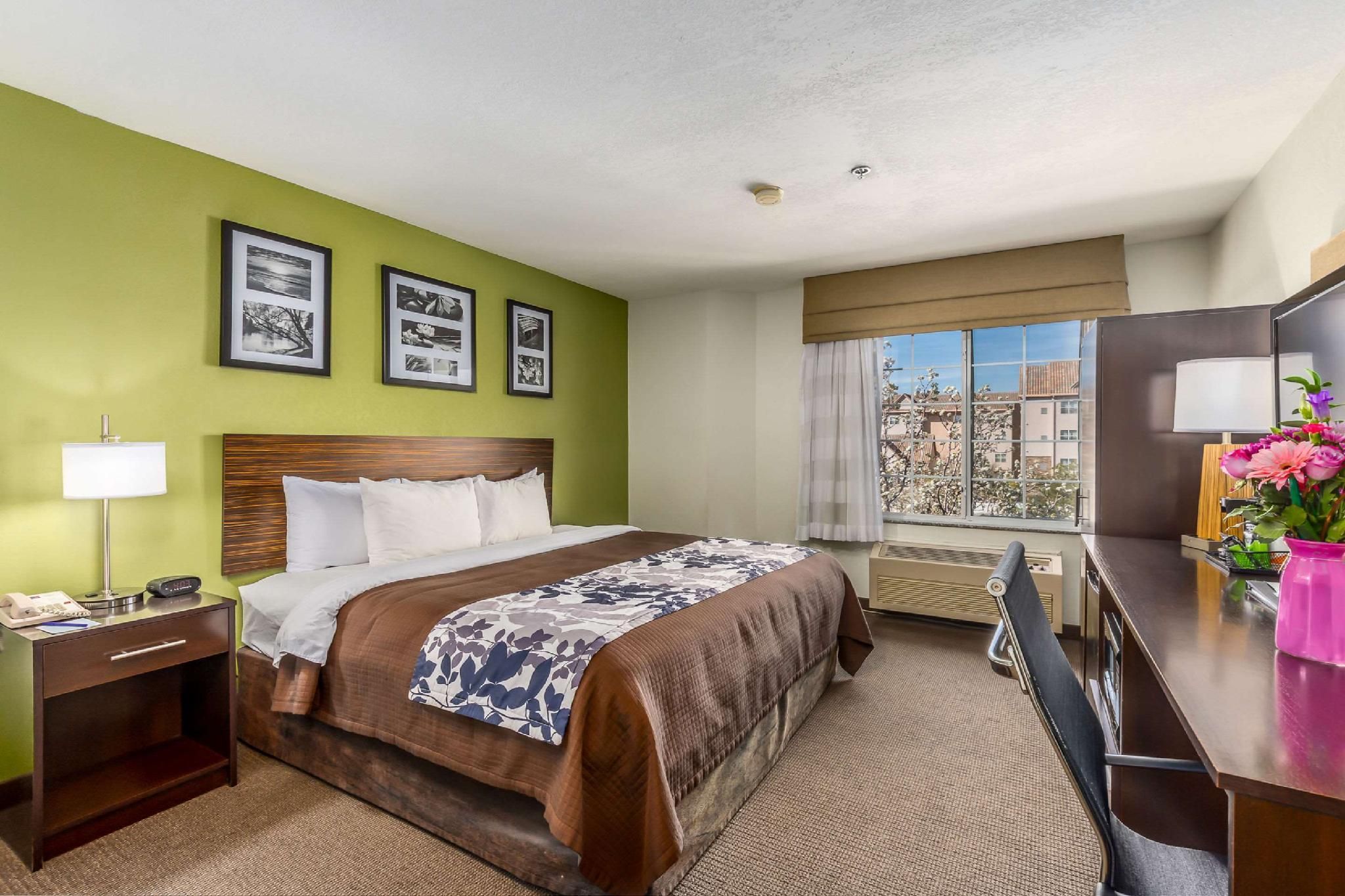 1 King Bed, Nonsmoking, Upgrade