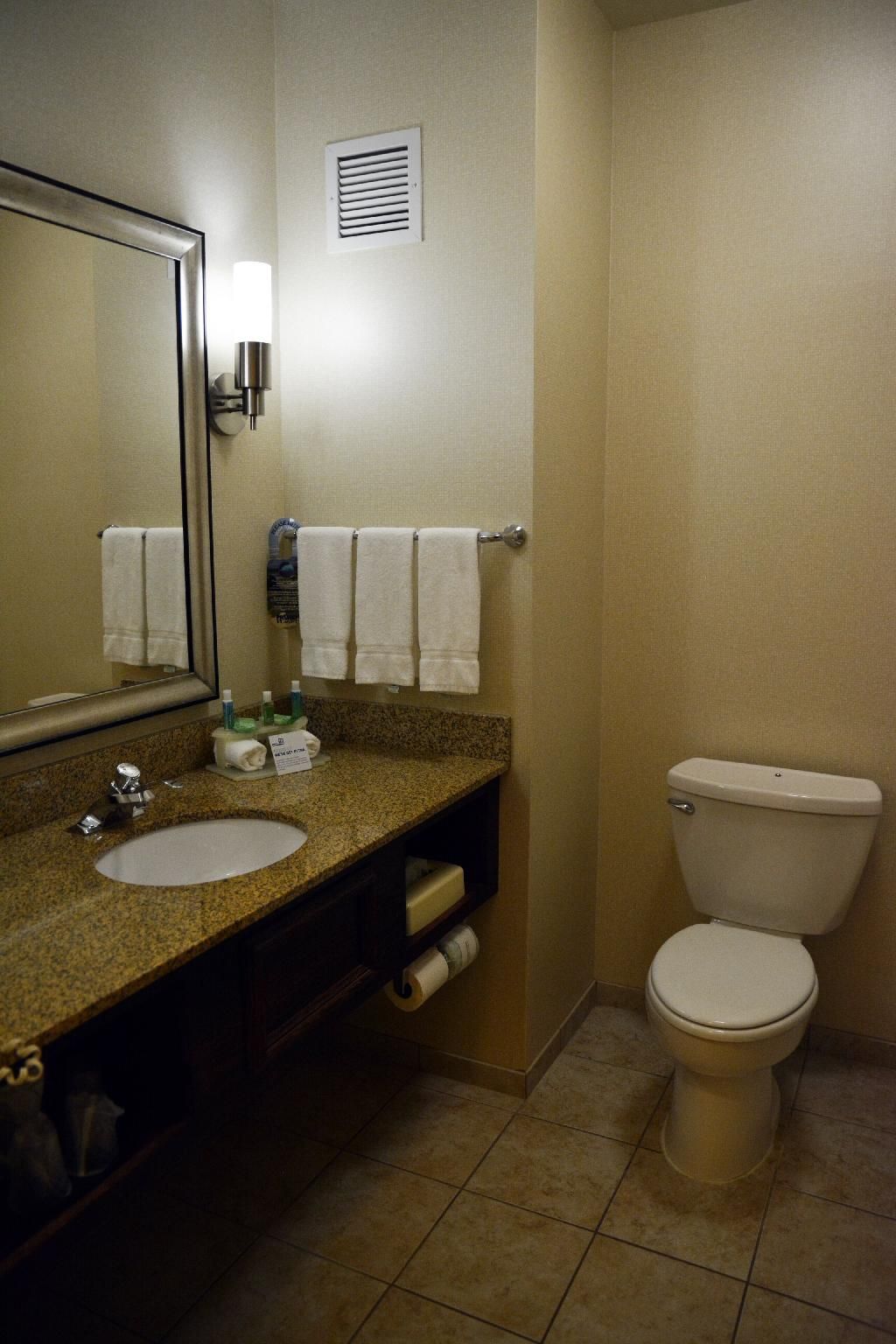 Holiday Inn Express & Suites Youngstown West I 80 By IHG Standard 3