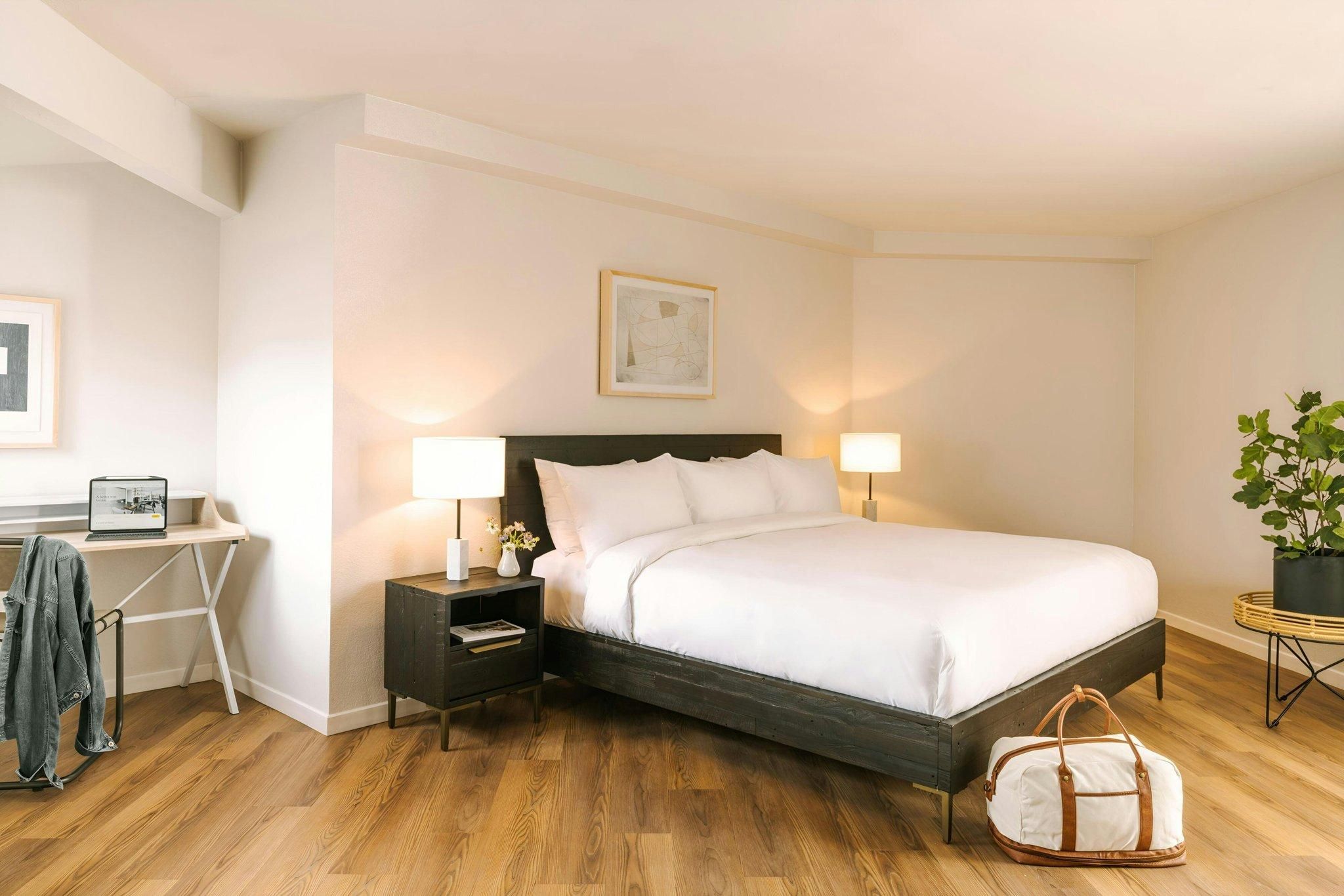 Accessible Guest room, 1 King, Roll-In Shower