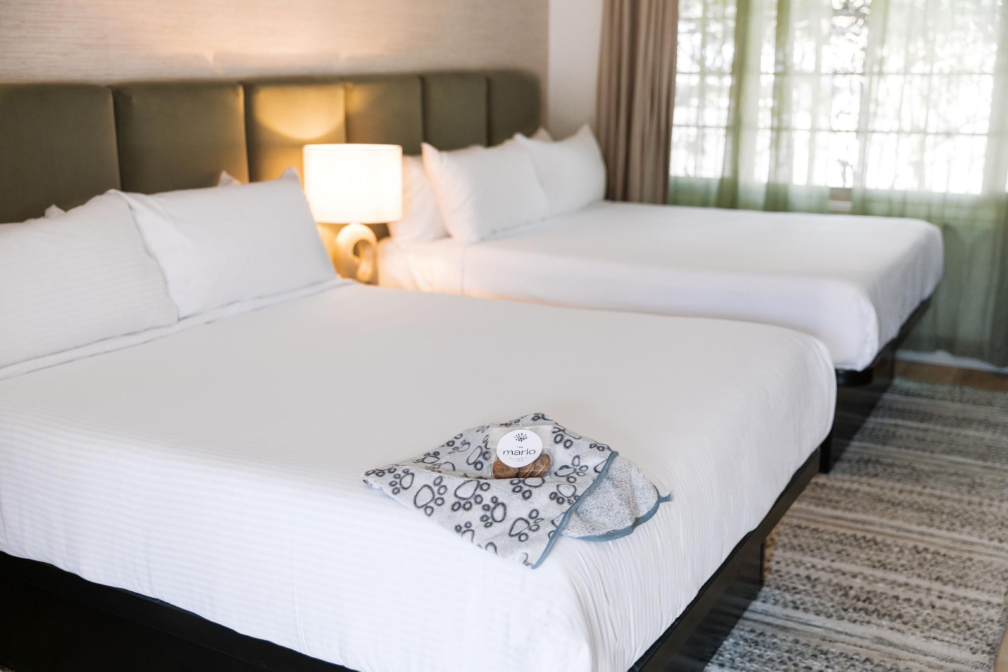 Nordic Courtyard Queens