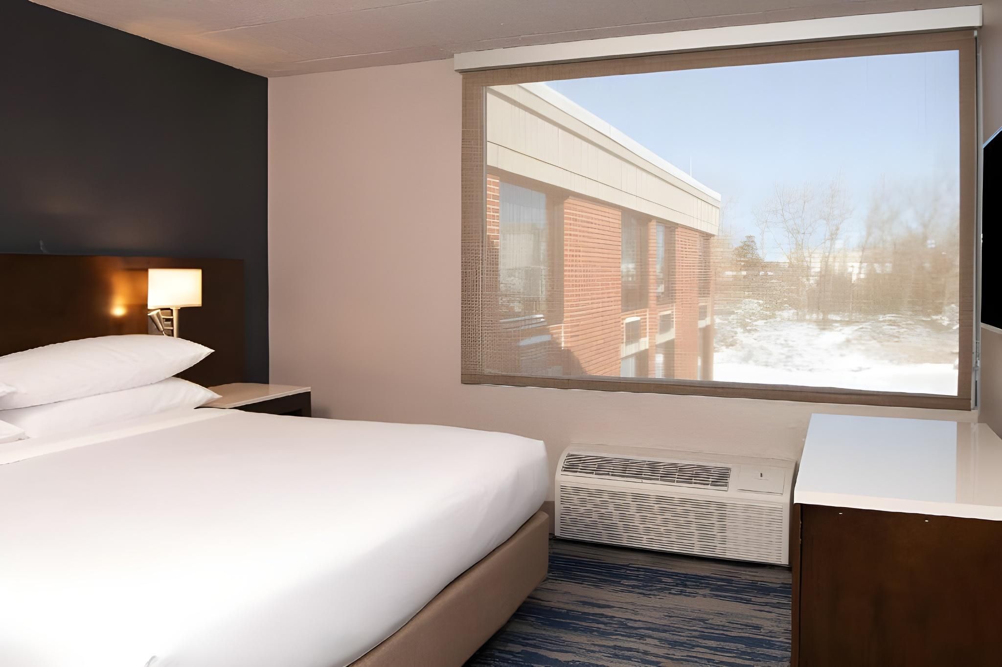 1 Bedroom Suite, 1 King, Alternate bed: sofa bed