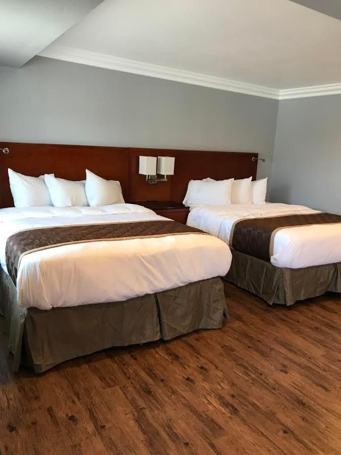 Queen Room with Two Queen Beds