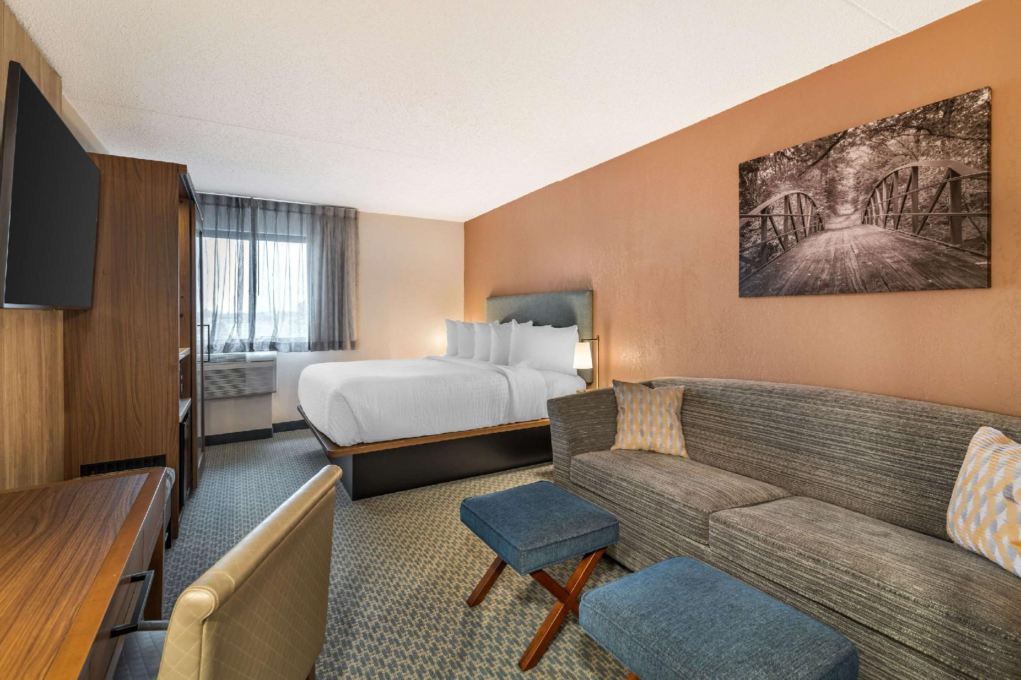 1 King Bed, Nonsmoking