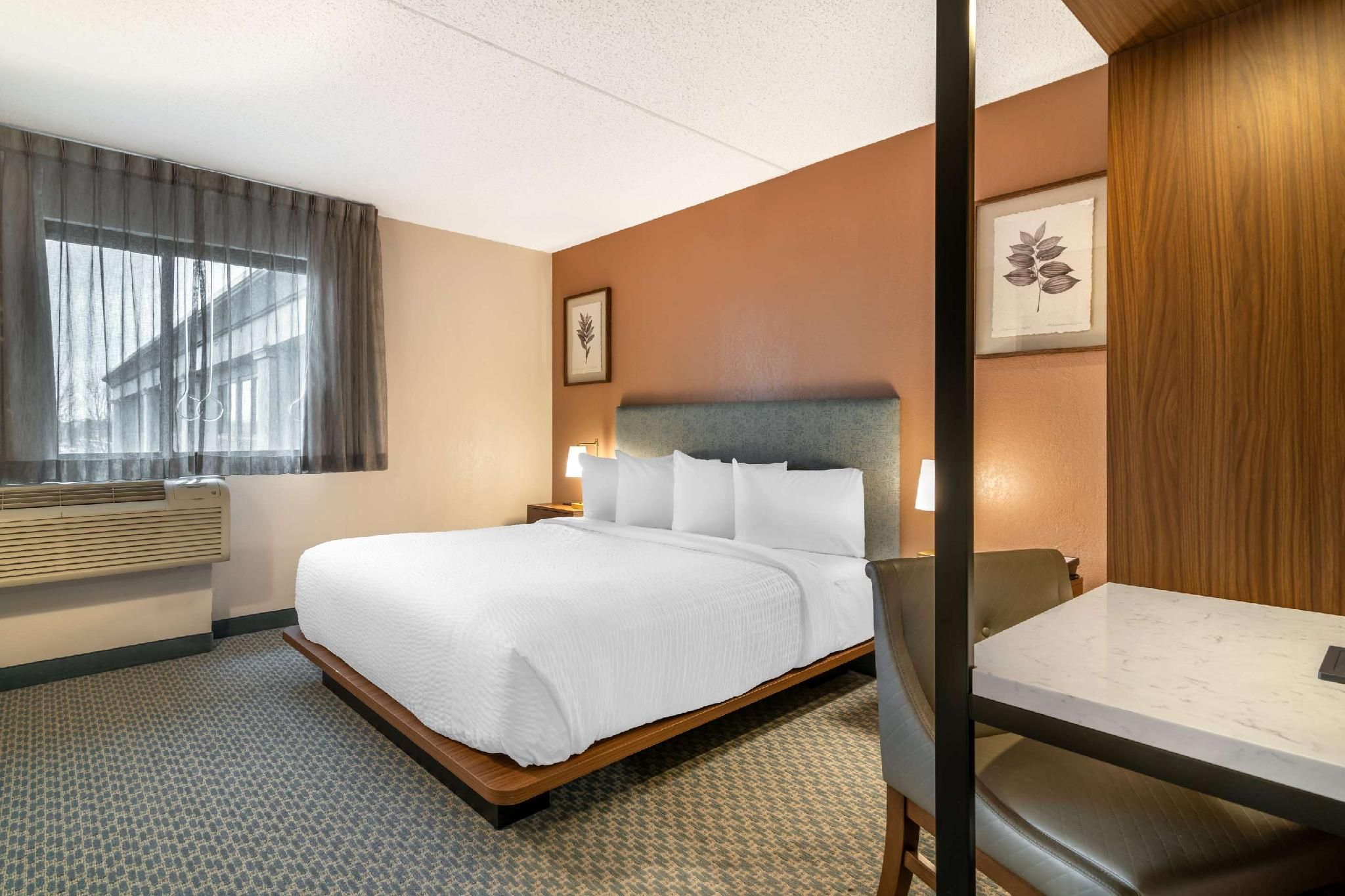 1 Double Bed, Nonsmoking, Accessible
