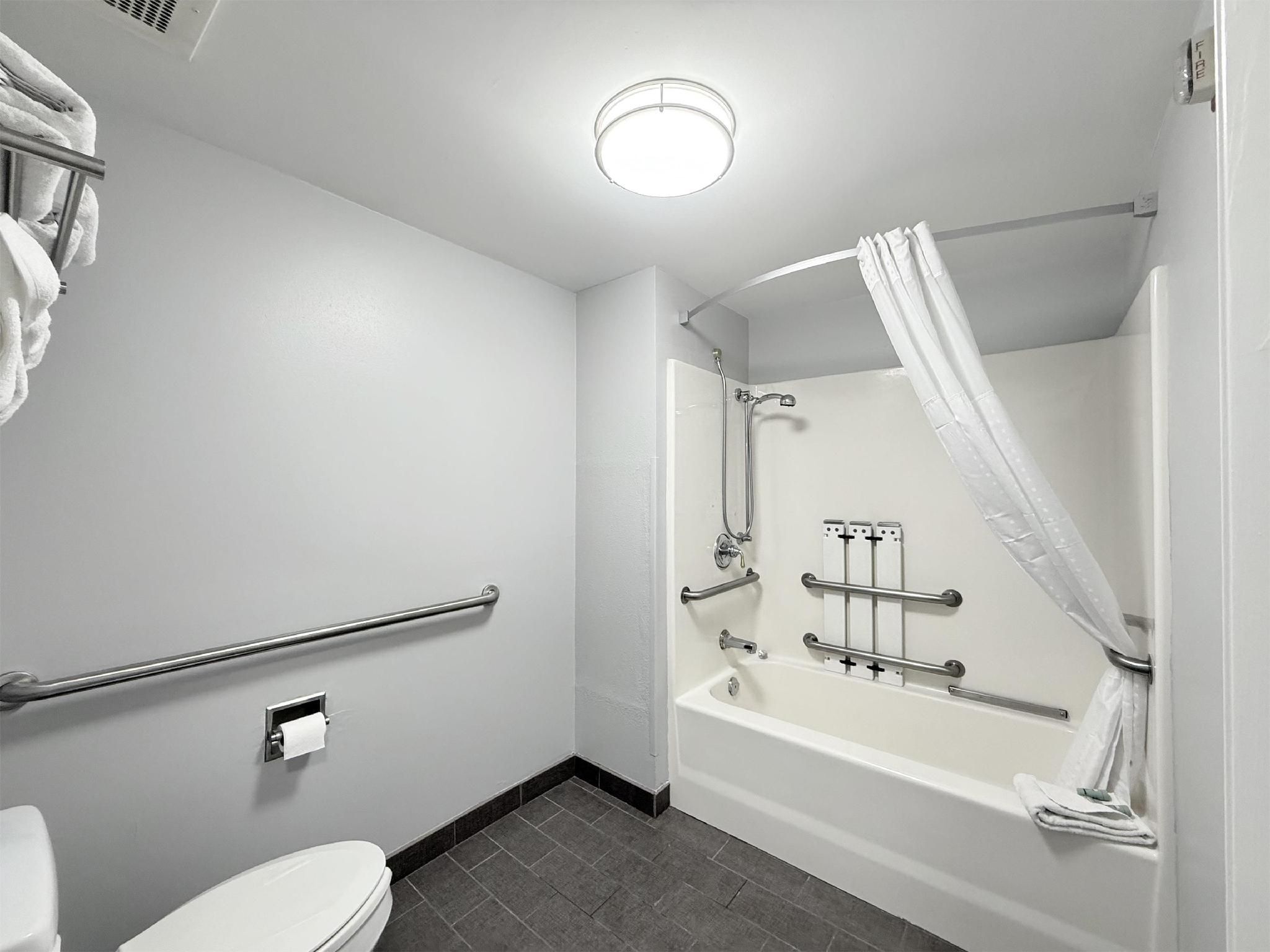 Accessible - 1 King, Mobility Accessible, Communication Assistance, Bathtub, Non-Smoking