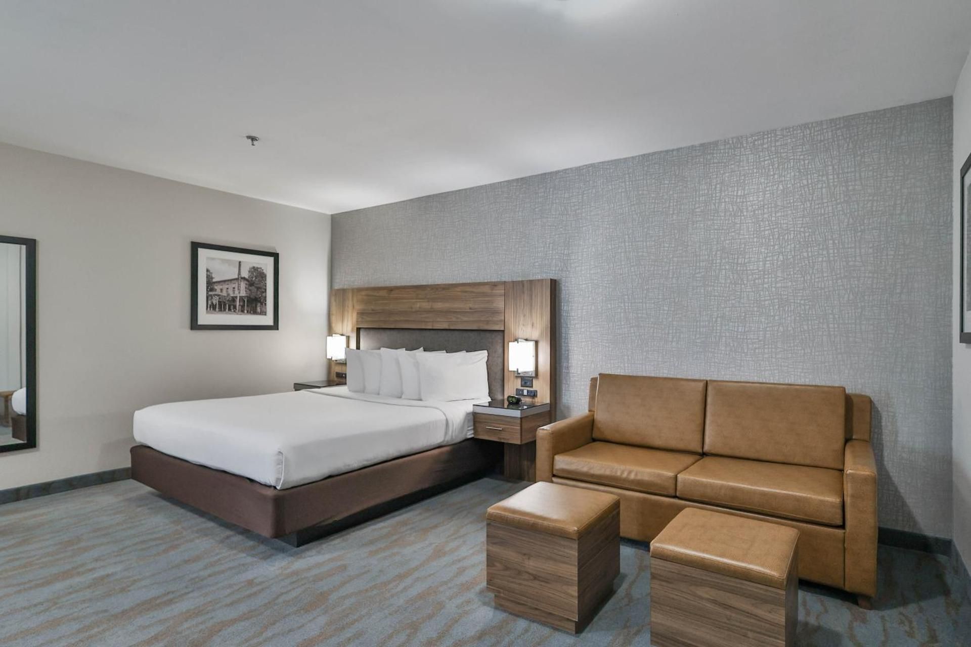 1 King Bed Suite with Sofa Bed, Interior View