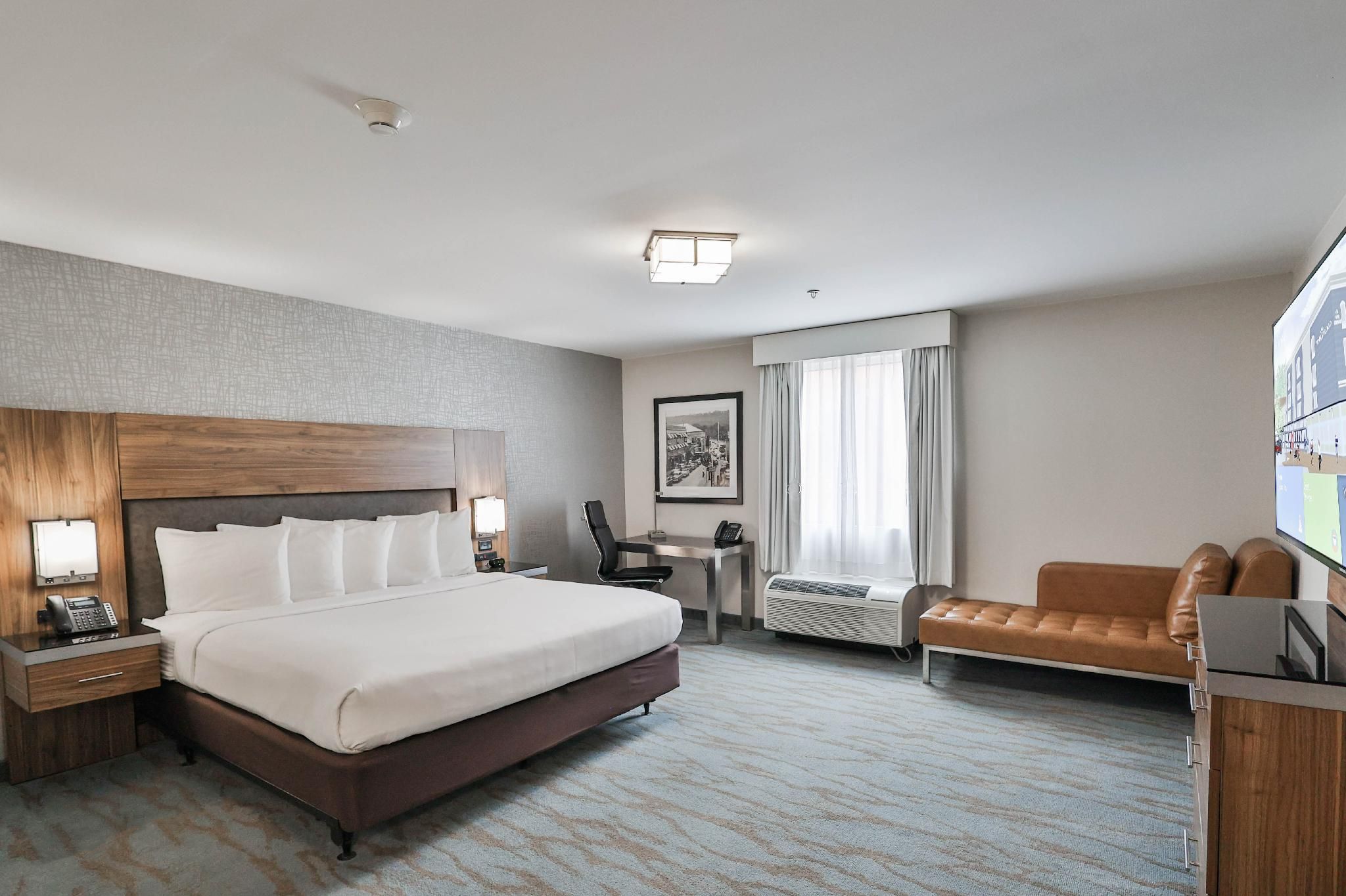 1 King Bed, Accessible Room