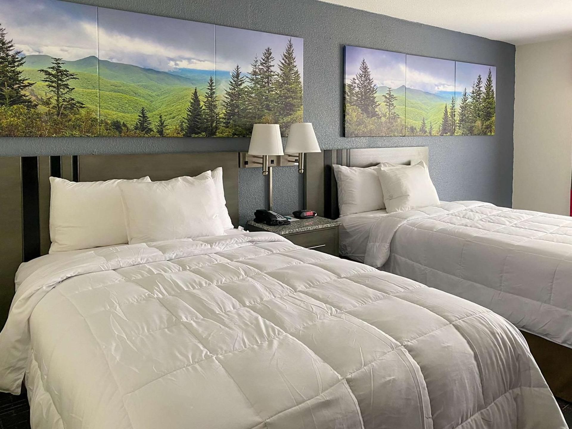 Superior Double Room with Two Double Beds - Non-Smoking