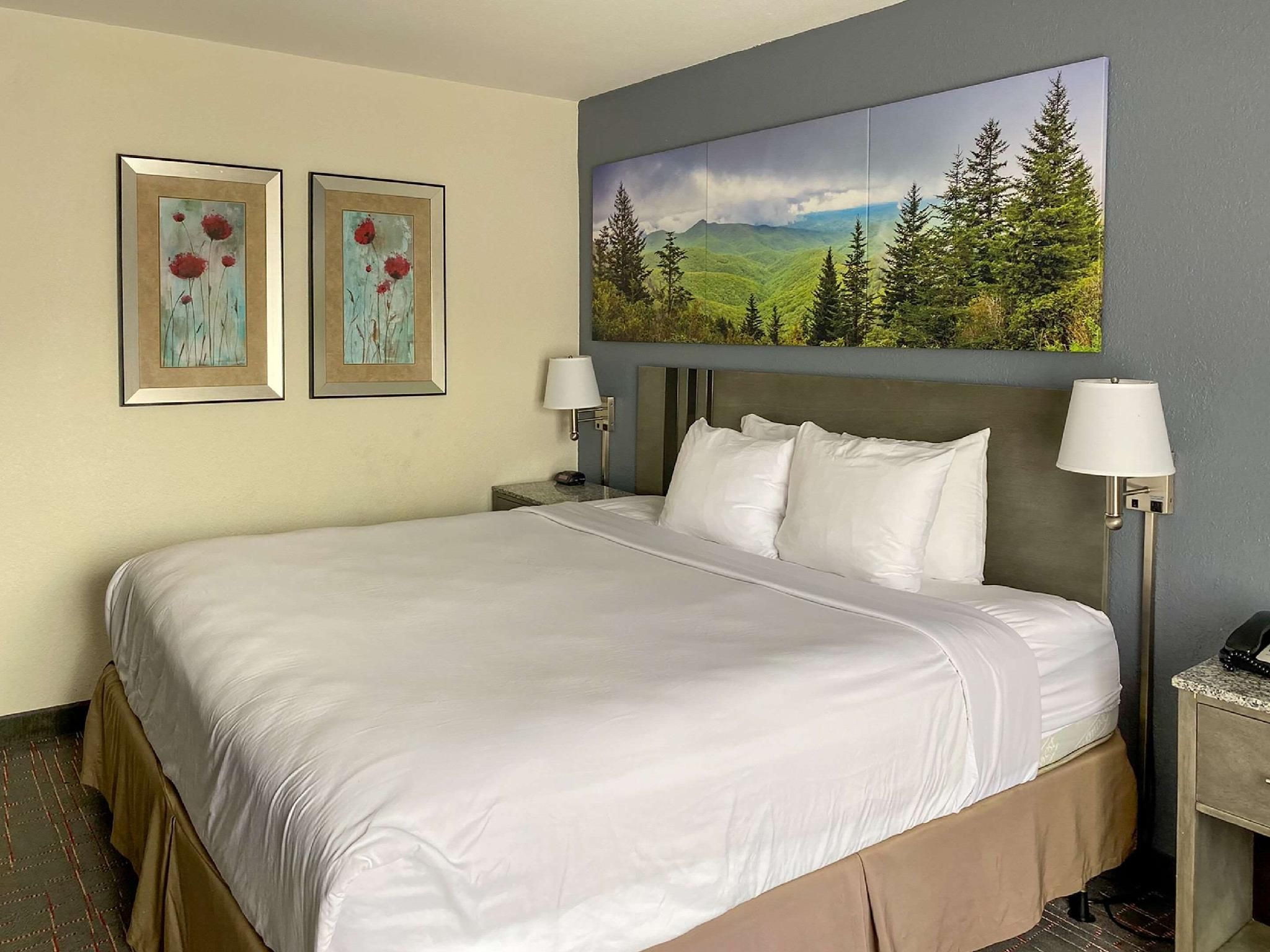 1 King Bed, No Smoking