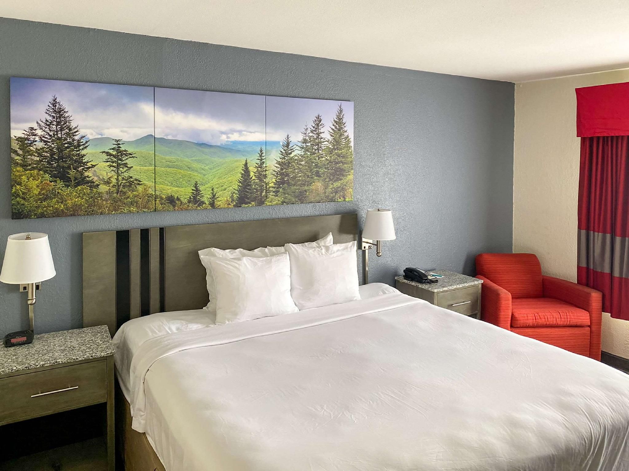 1 King Bed, Nonsmoking, Accessible, Upgrade