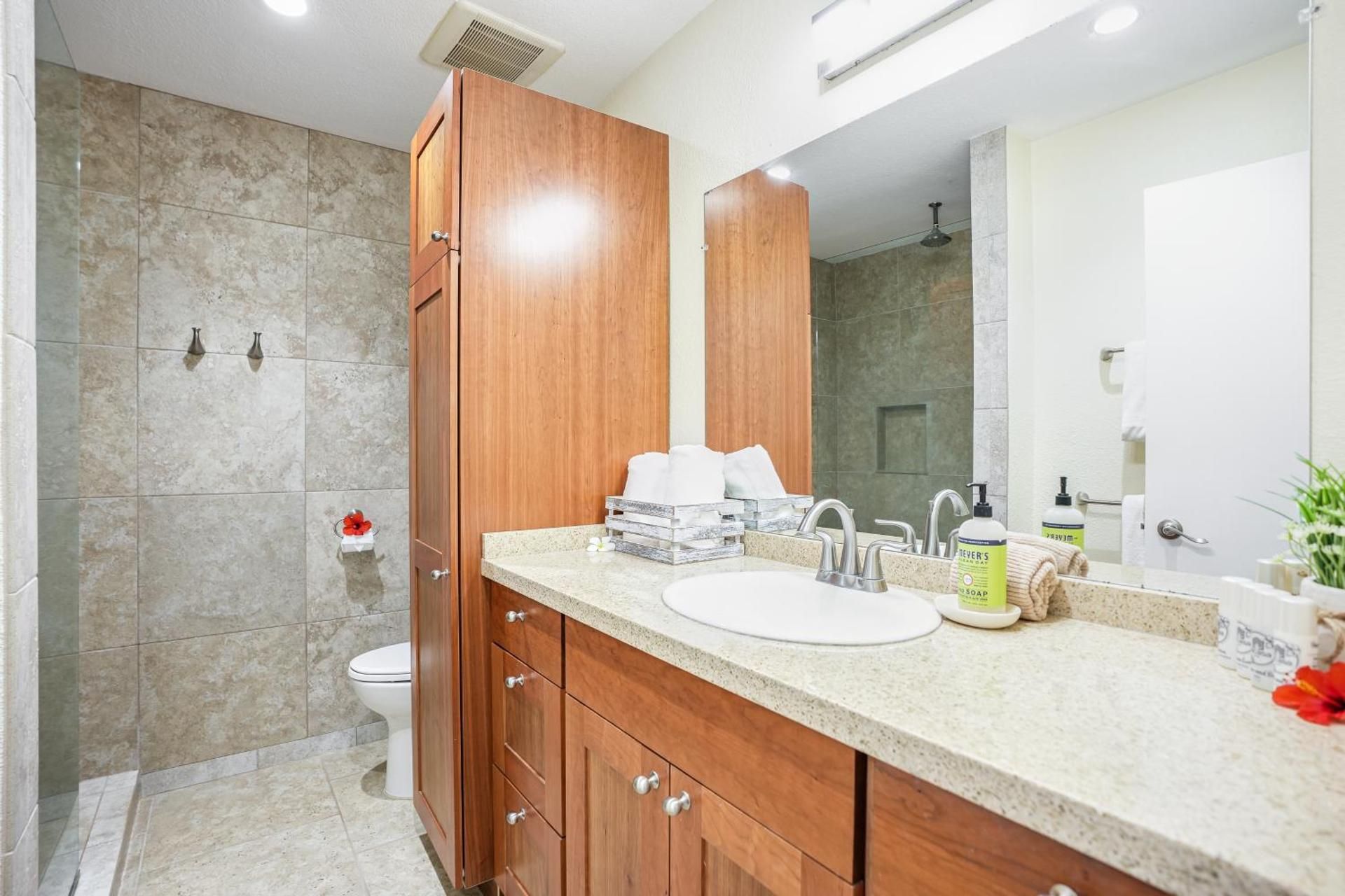 One Bedroom Apartment