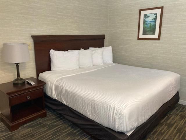 One King Bed (Standard Building)