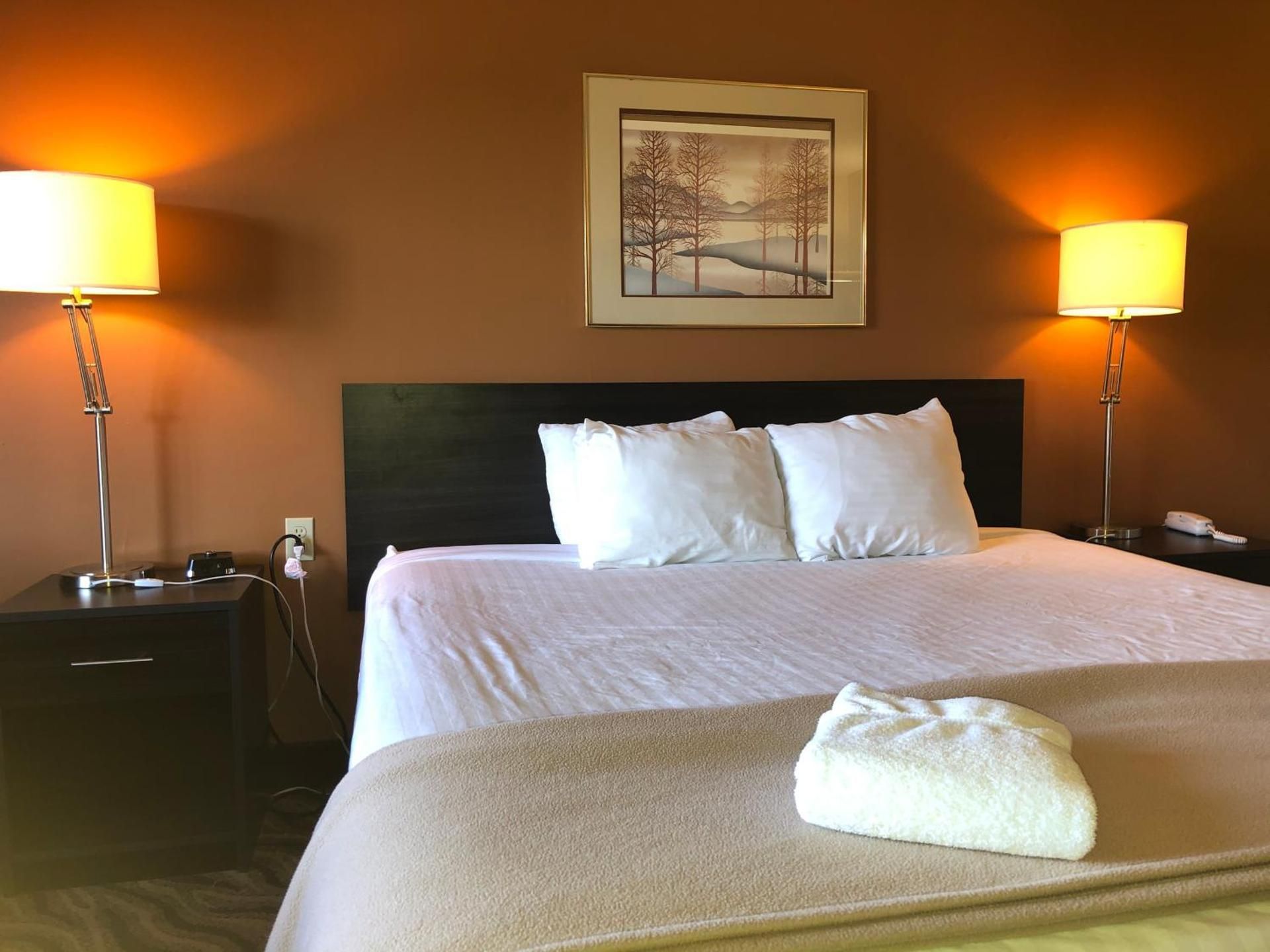 King Room - Non-Smoking