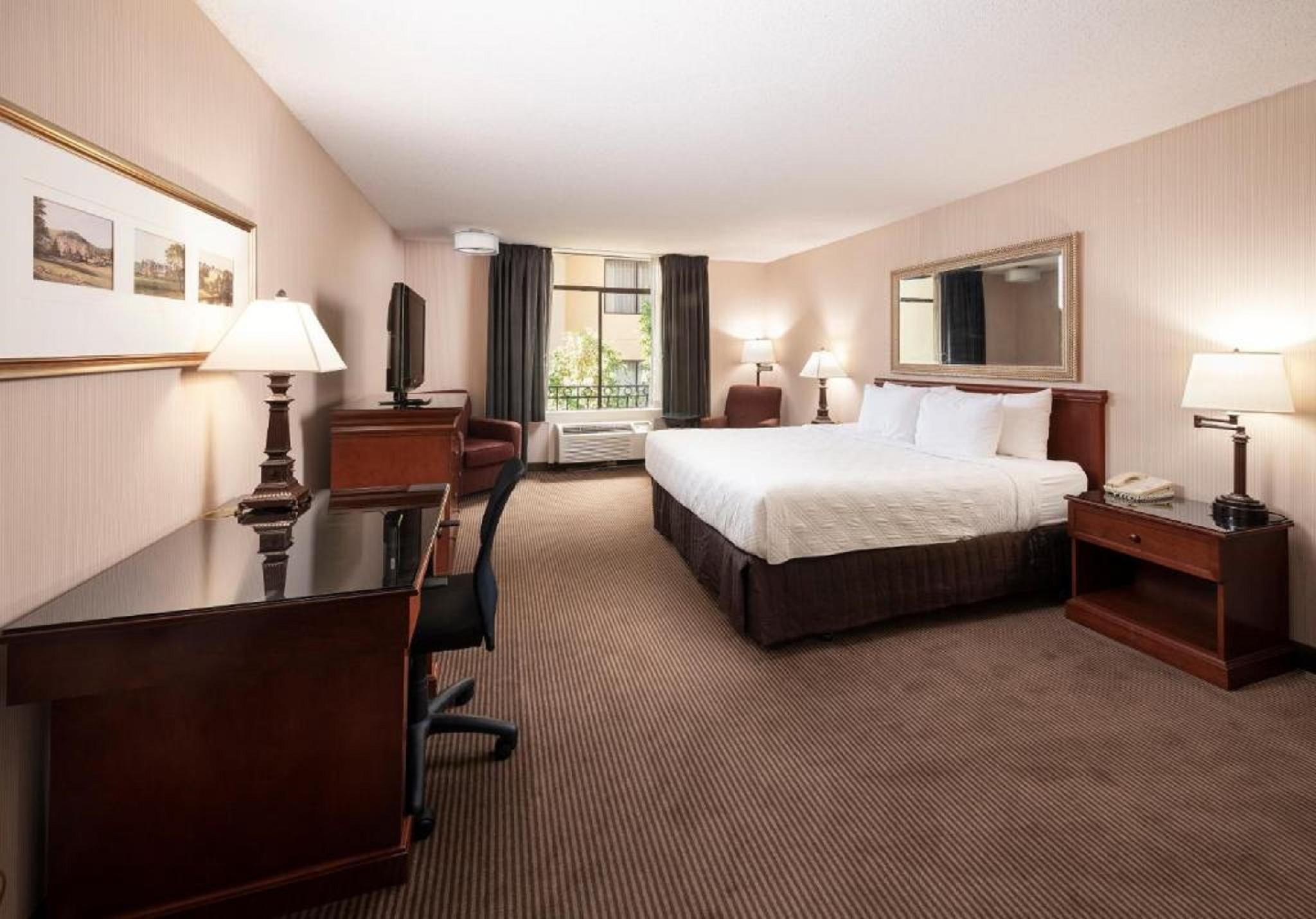 Queen Accessible Room