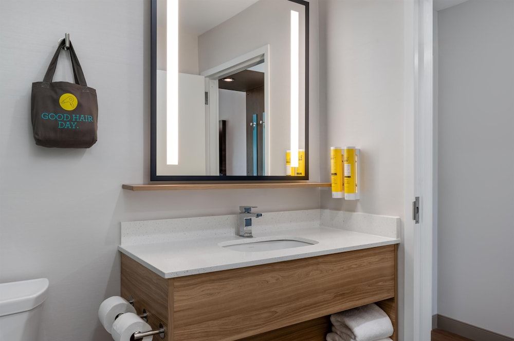 Tru By Hilton Battle Creek Room, 1 King Bed, Accessible, Bathtub 4