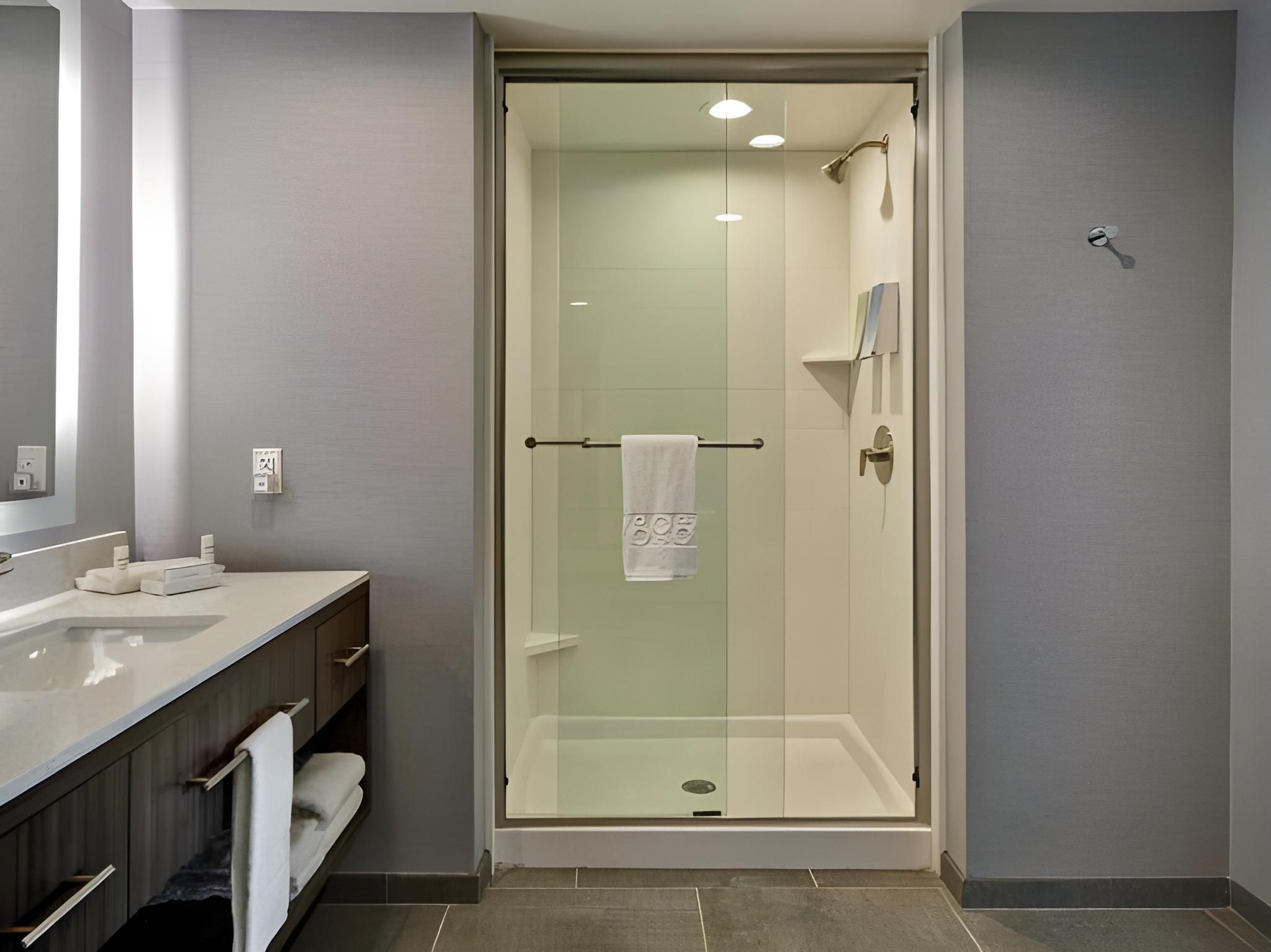 Home2 Suites by Hilton Dothan 1 King Accessible Bathtub Suite Nonsmoking