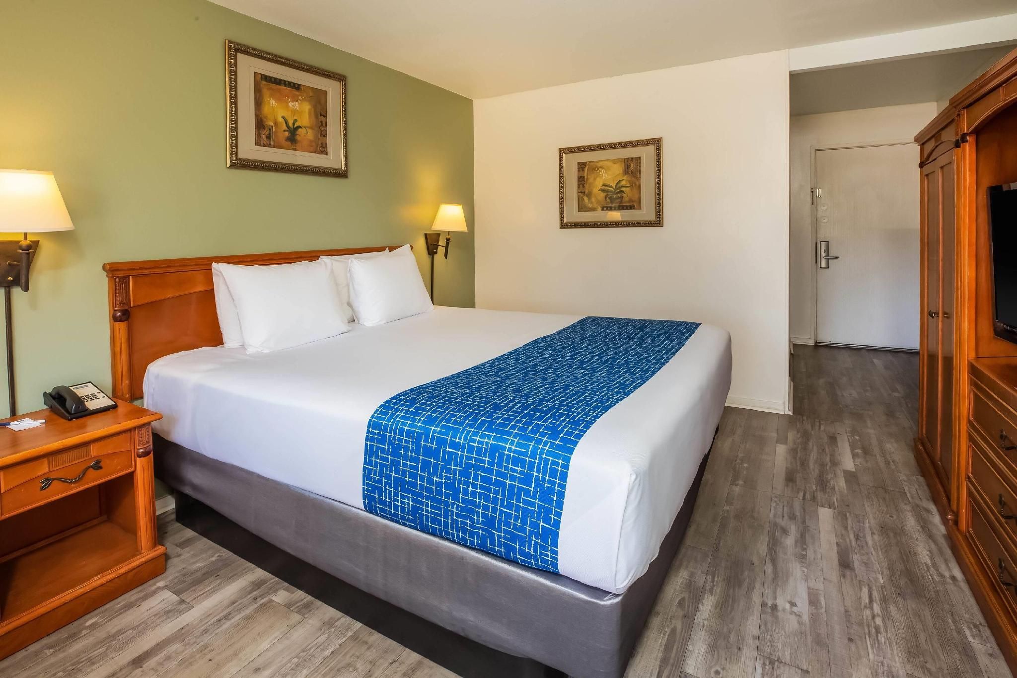 1 Queen Bed, Mobility Accessible Room, Roll-In Shower, Ground Floor, Non-Smoking