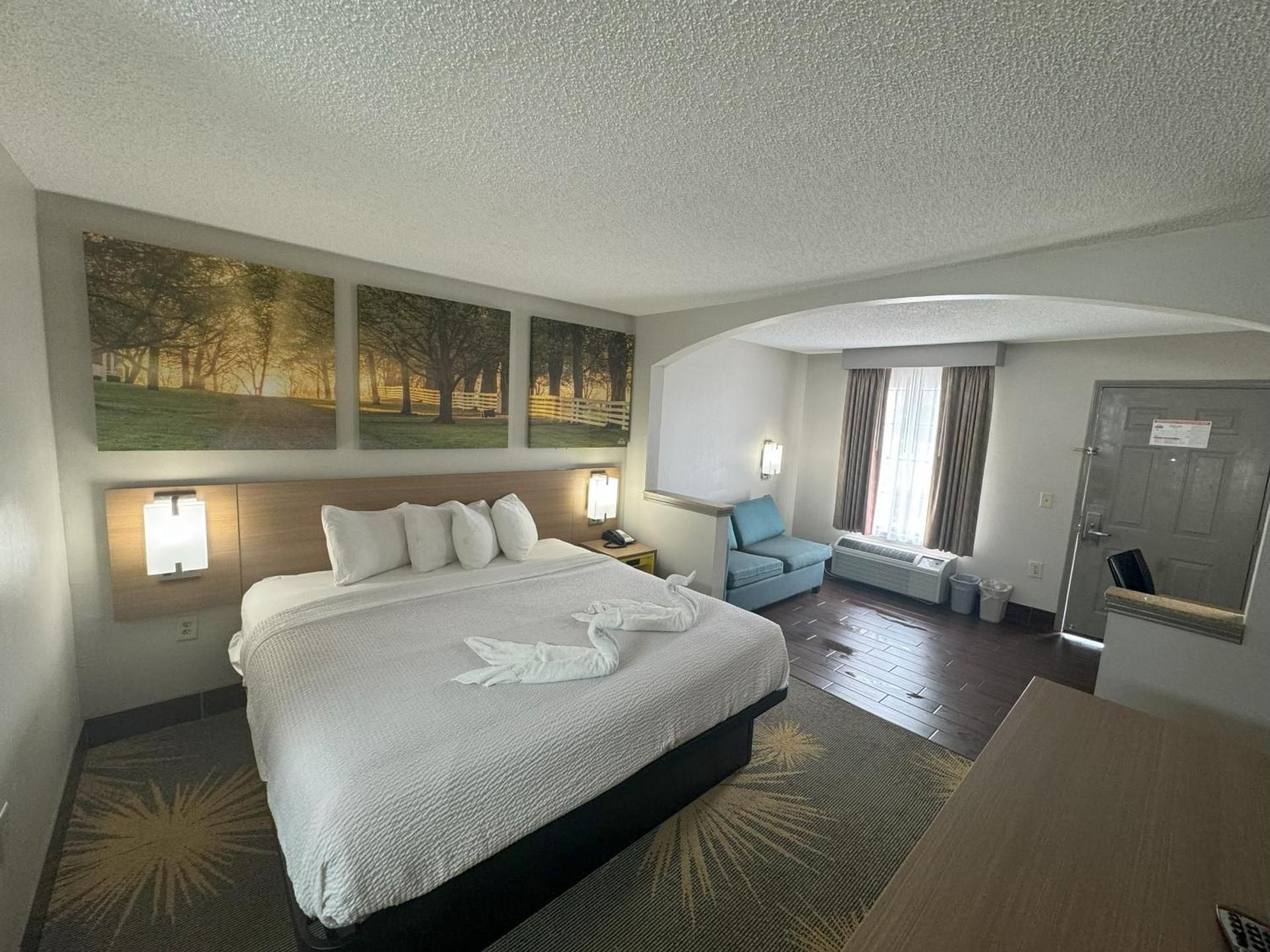1 King Bed Non-Smoking