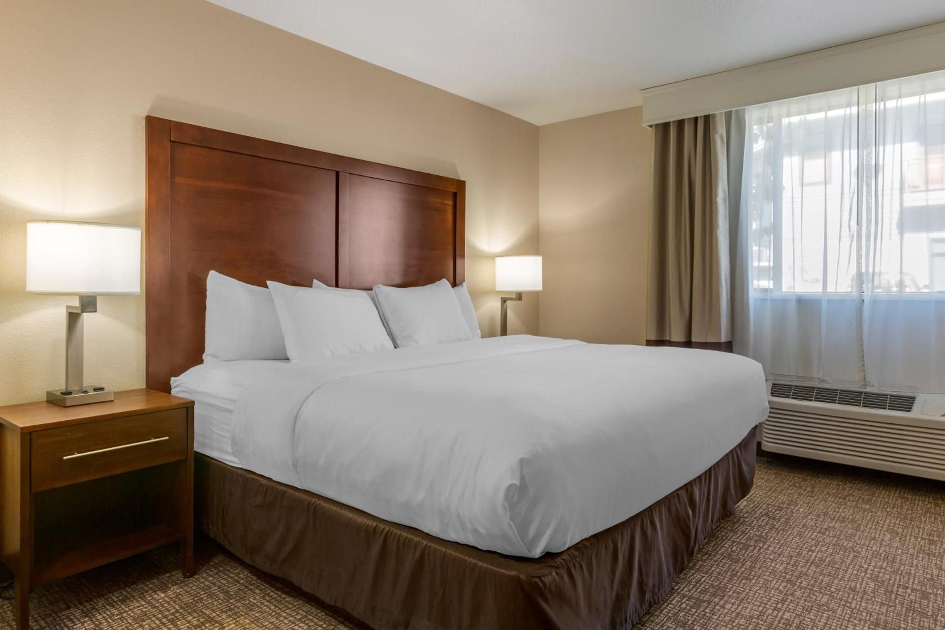 King Suite with Sofa Bed