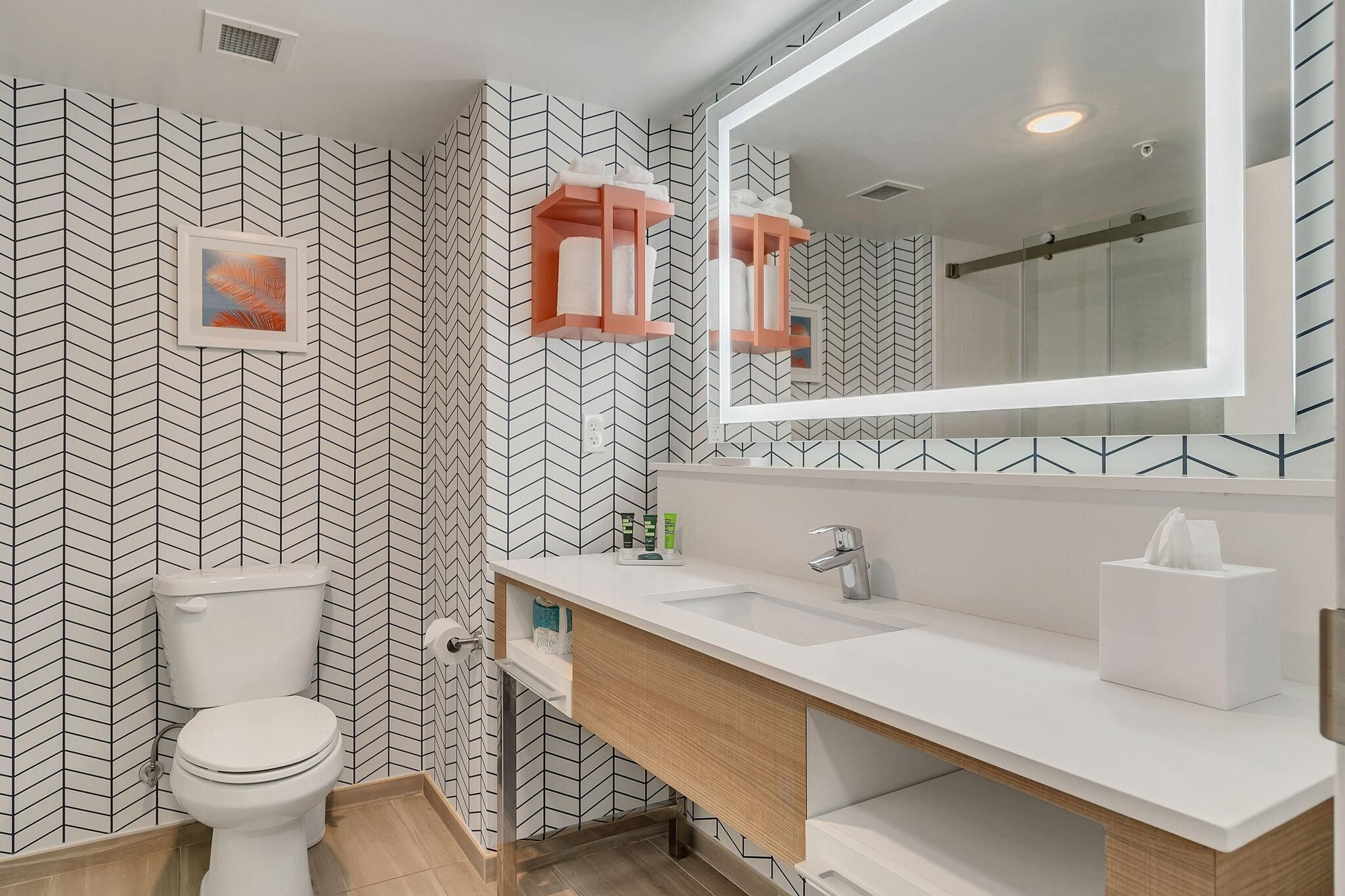 2 Queen Suite Single Sofa Bed