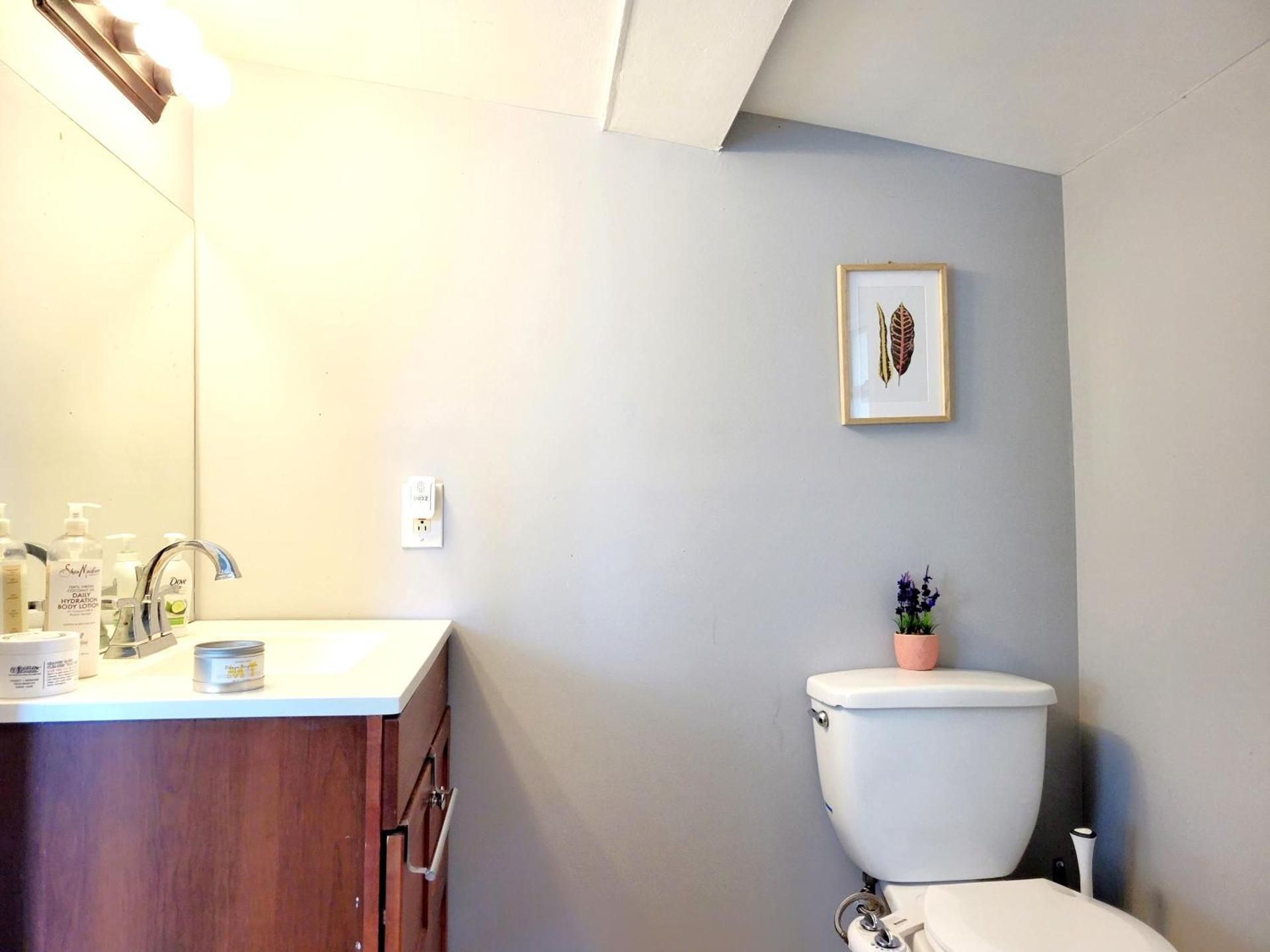 Double Room with Shared Bathroom