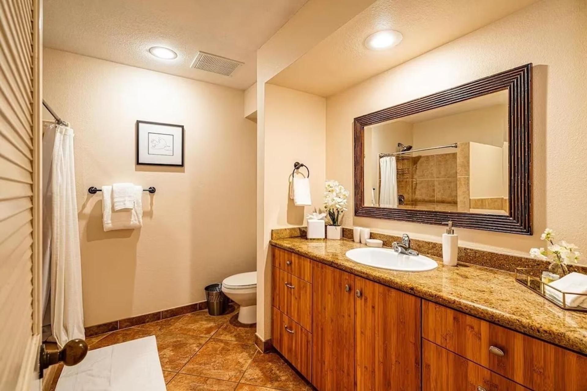 Deluxe One-Bedroom Apartment