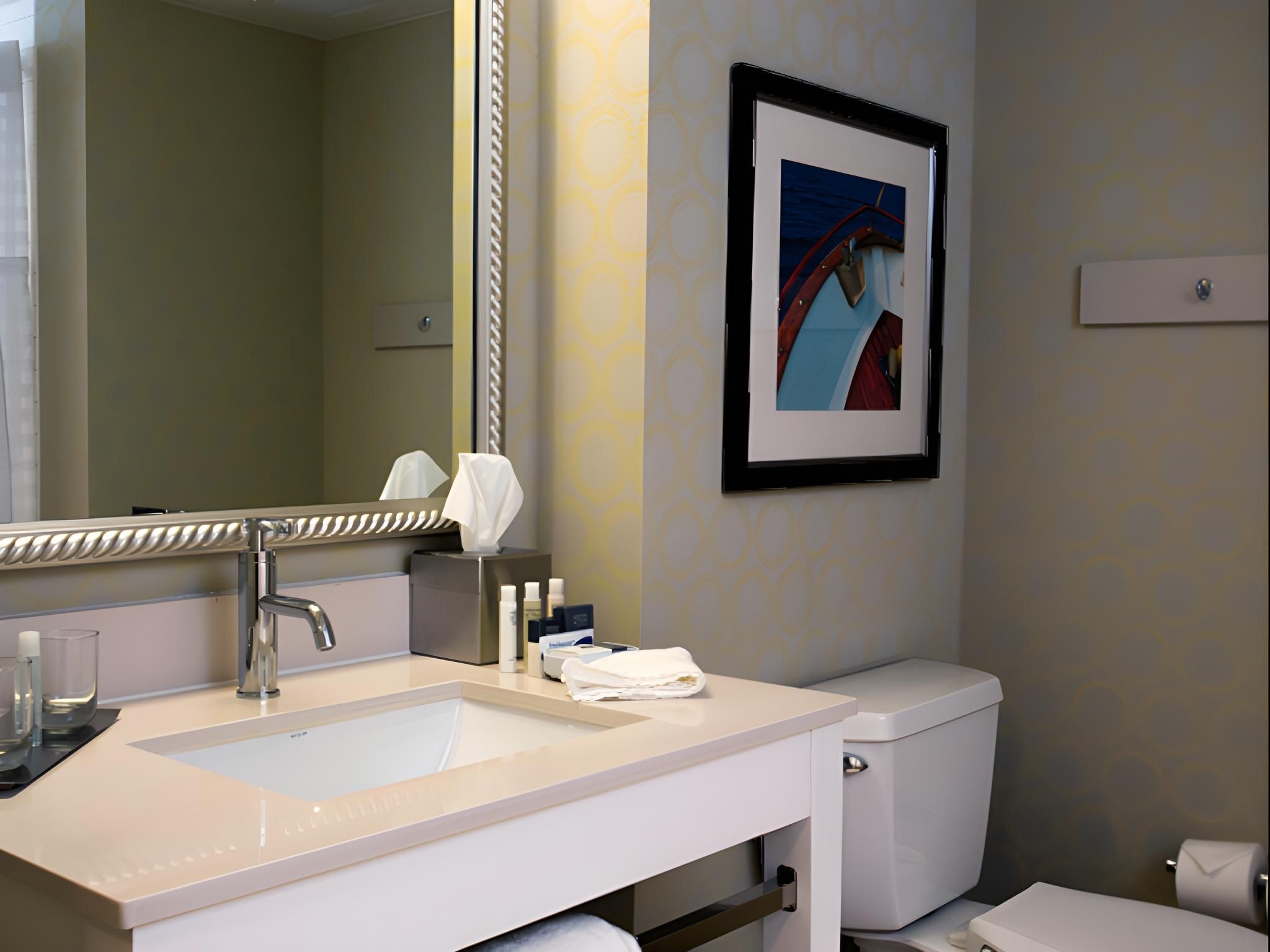 DoubleTree by Hilton Biloxi 1 K Mob/hearing Access Tub-corner 3