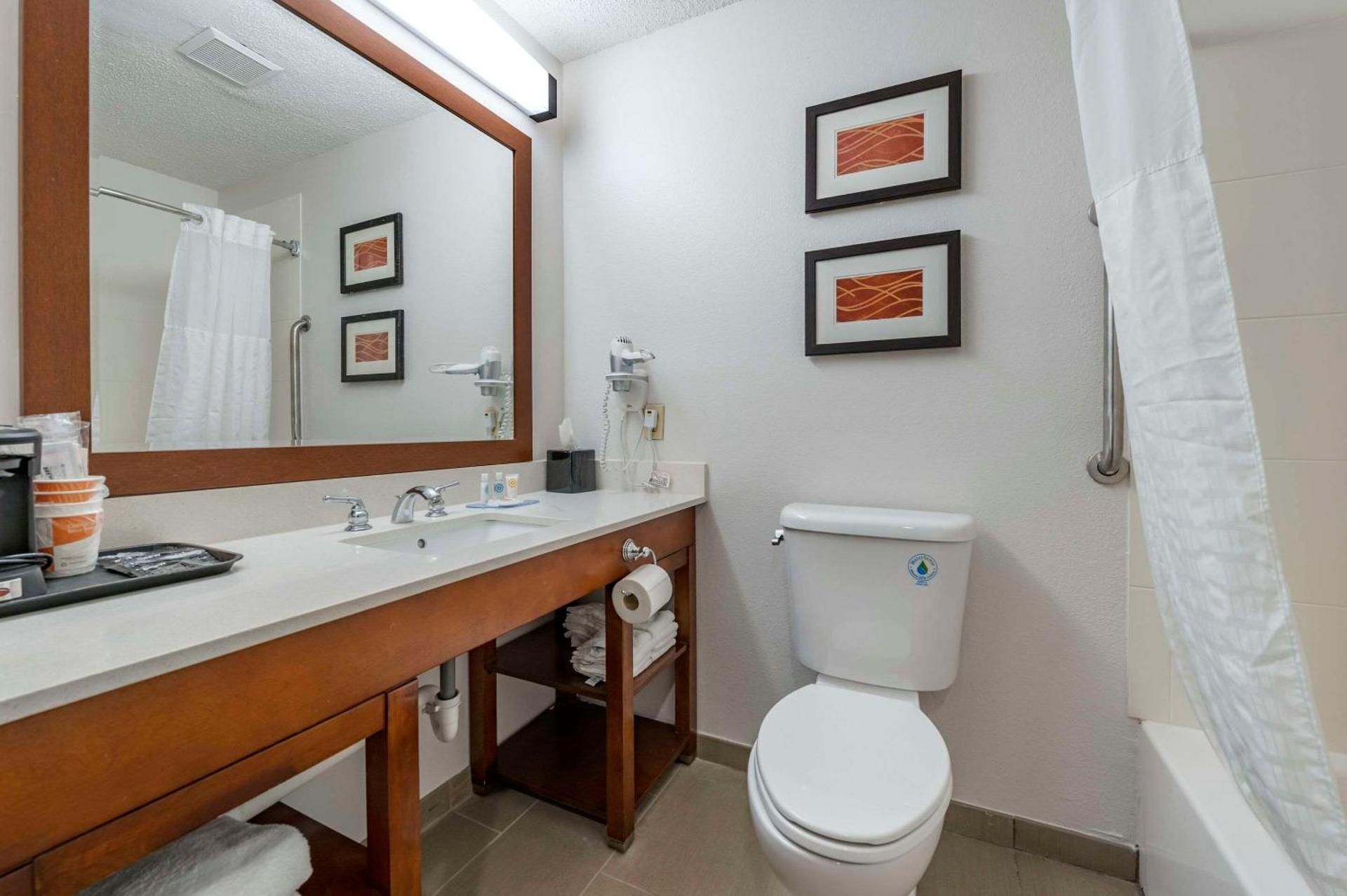 1 King Bed, Nonsmoking, Accessible
