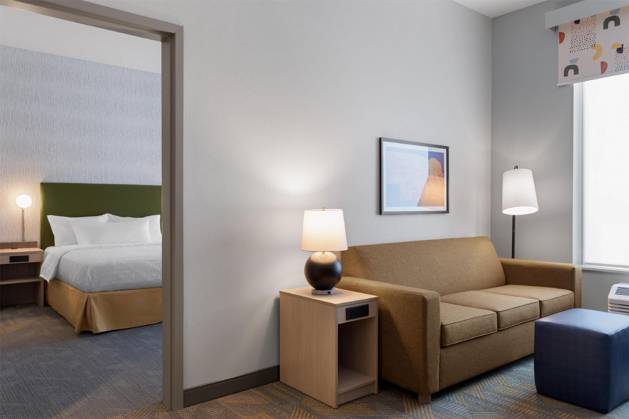 1 King Bed 1 Bedroom Suite