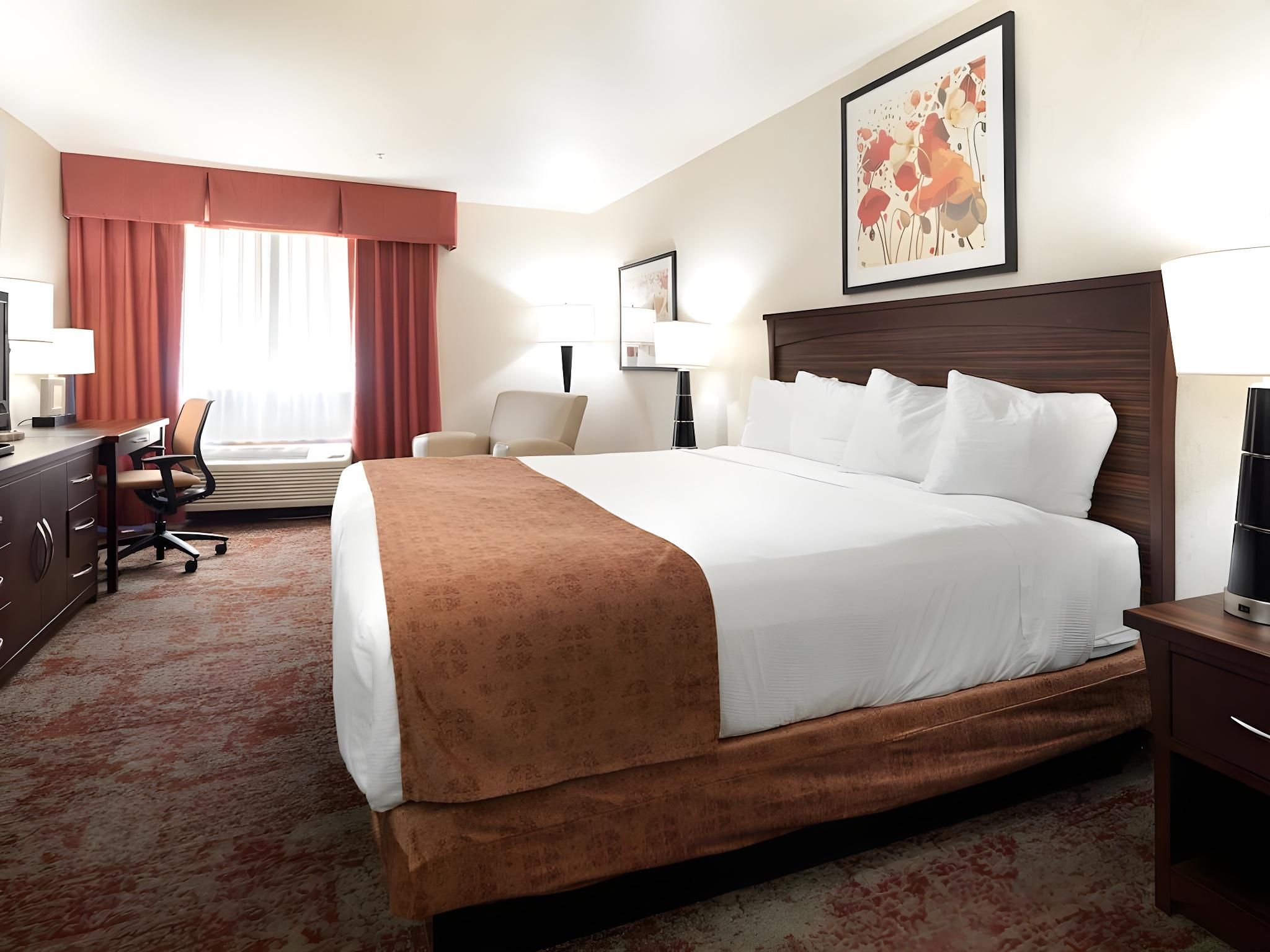Standard King Room